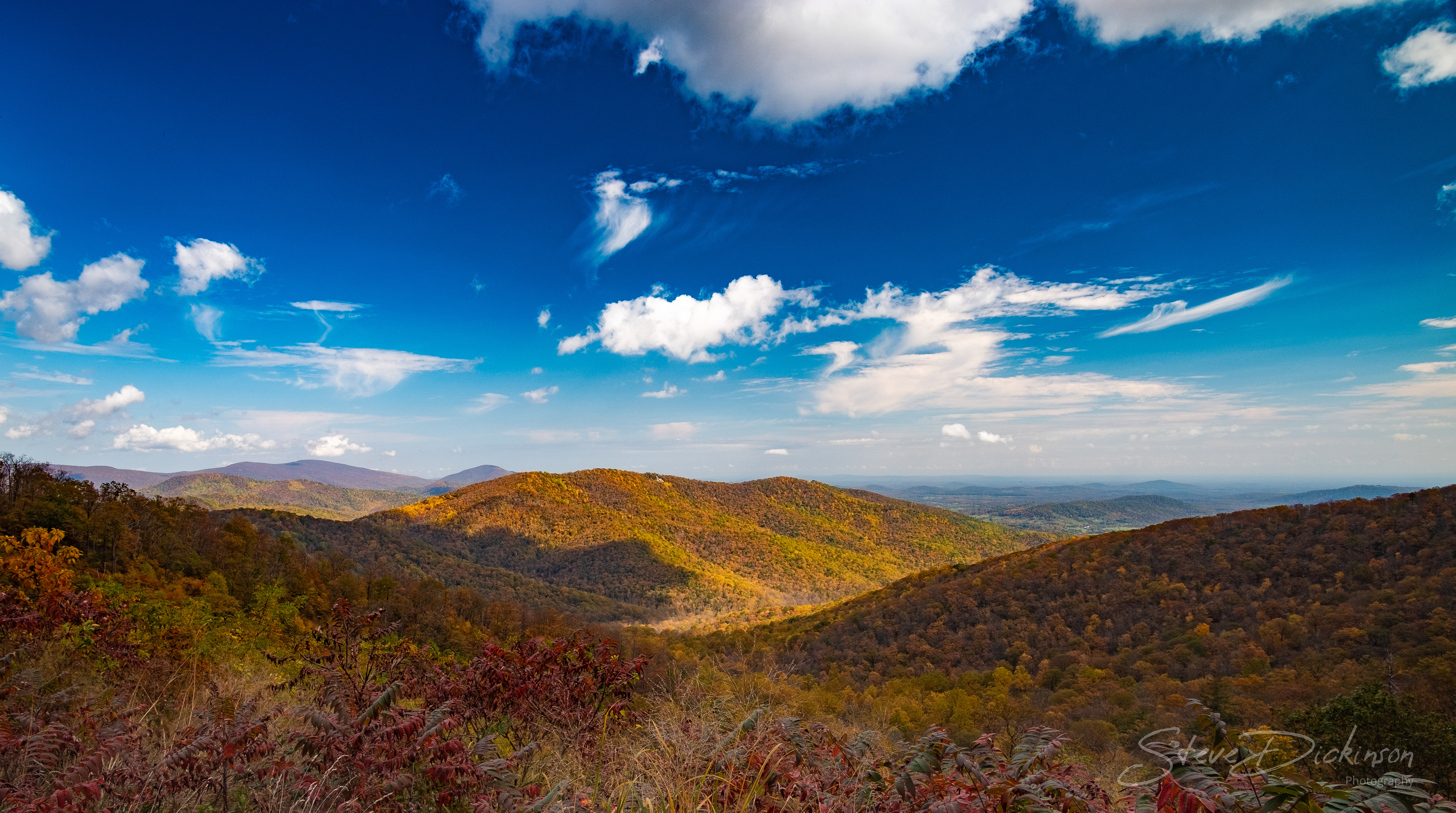Skyline Drive