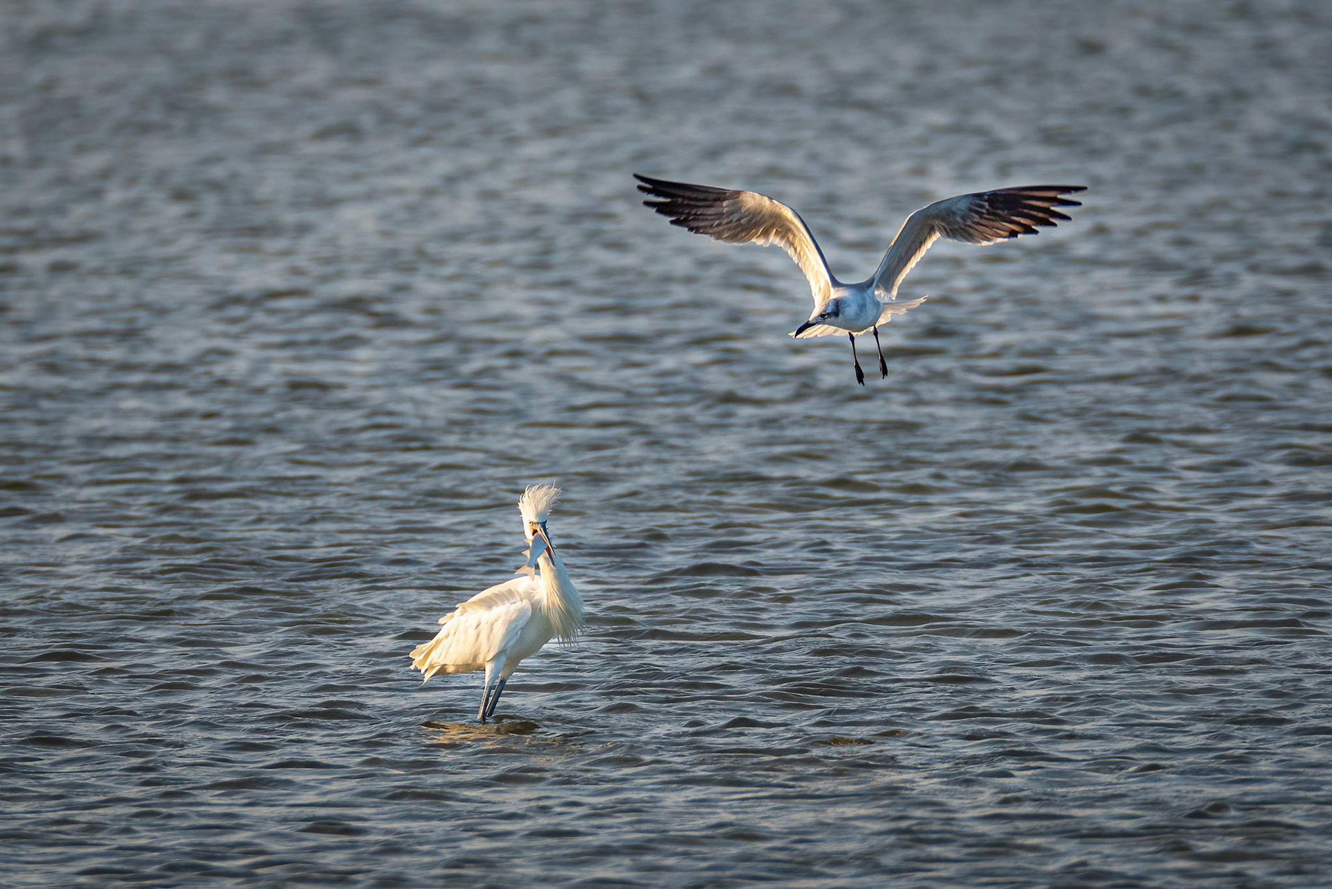 Fishing 3