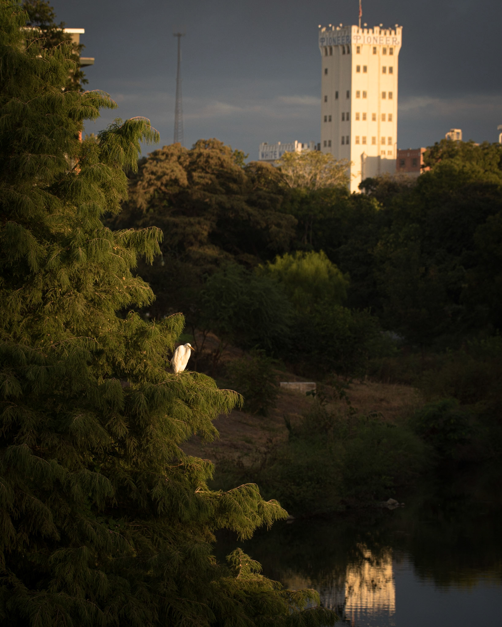 Southtown Triangle