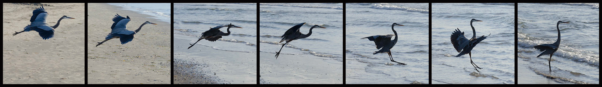 The Landing