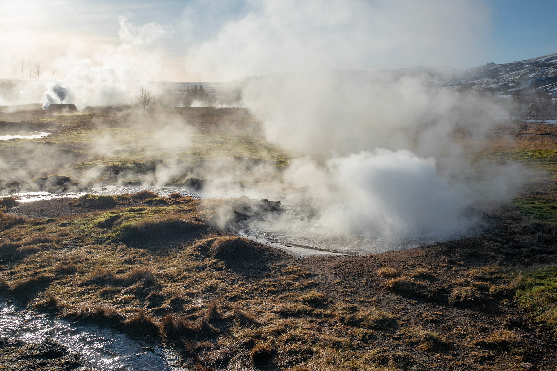 Steam