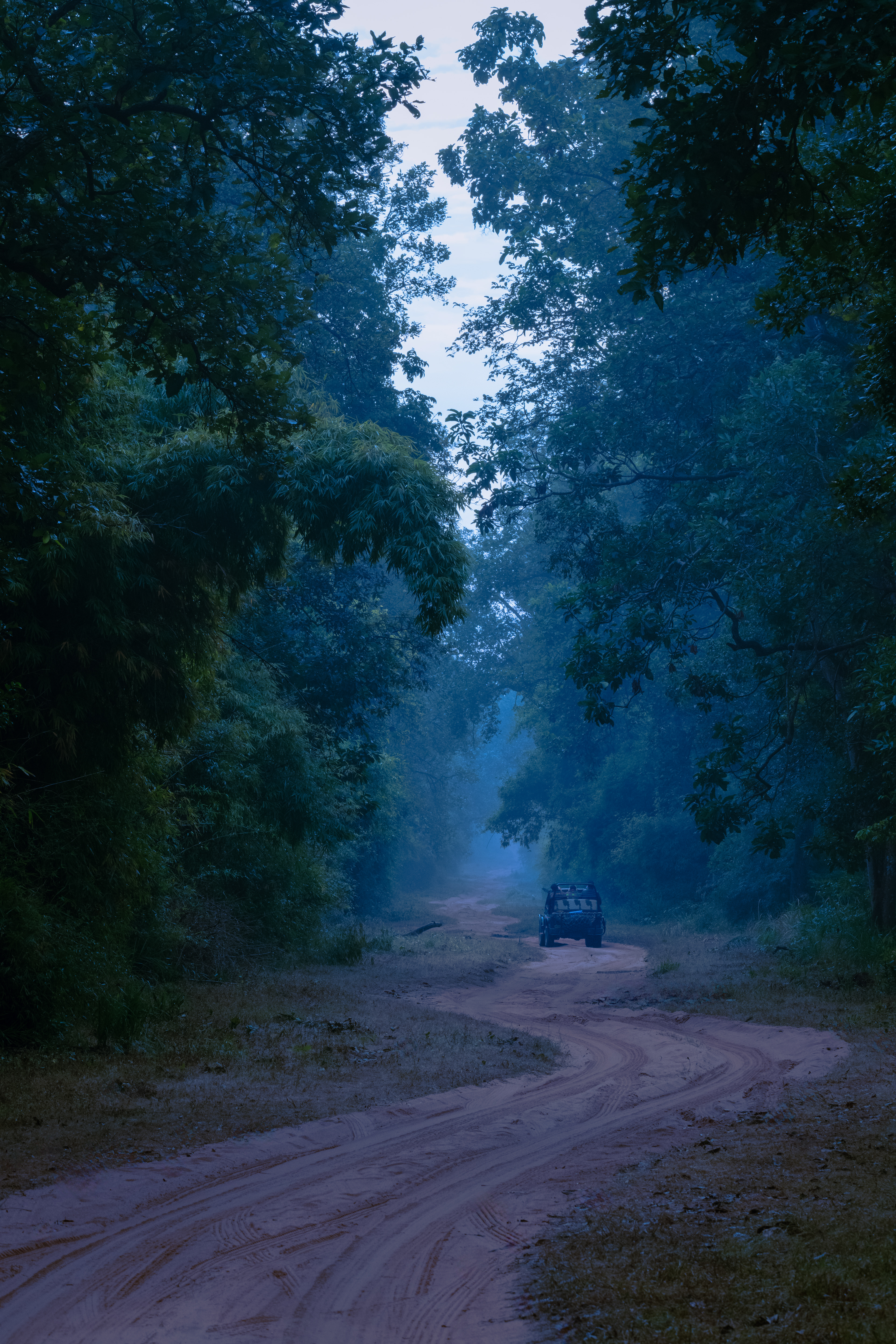Morning Safari's in Winter are magical