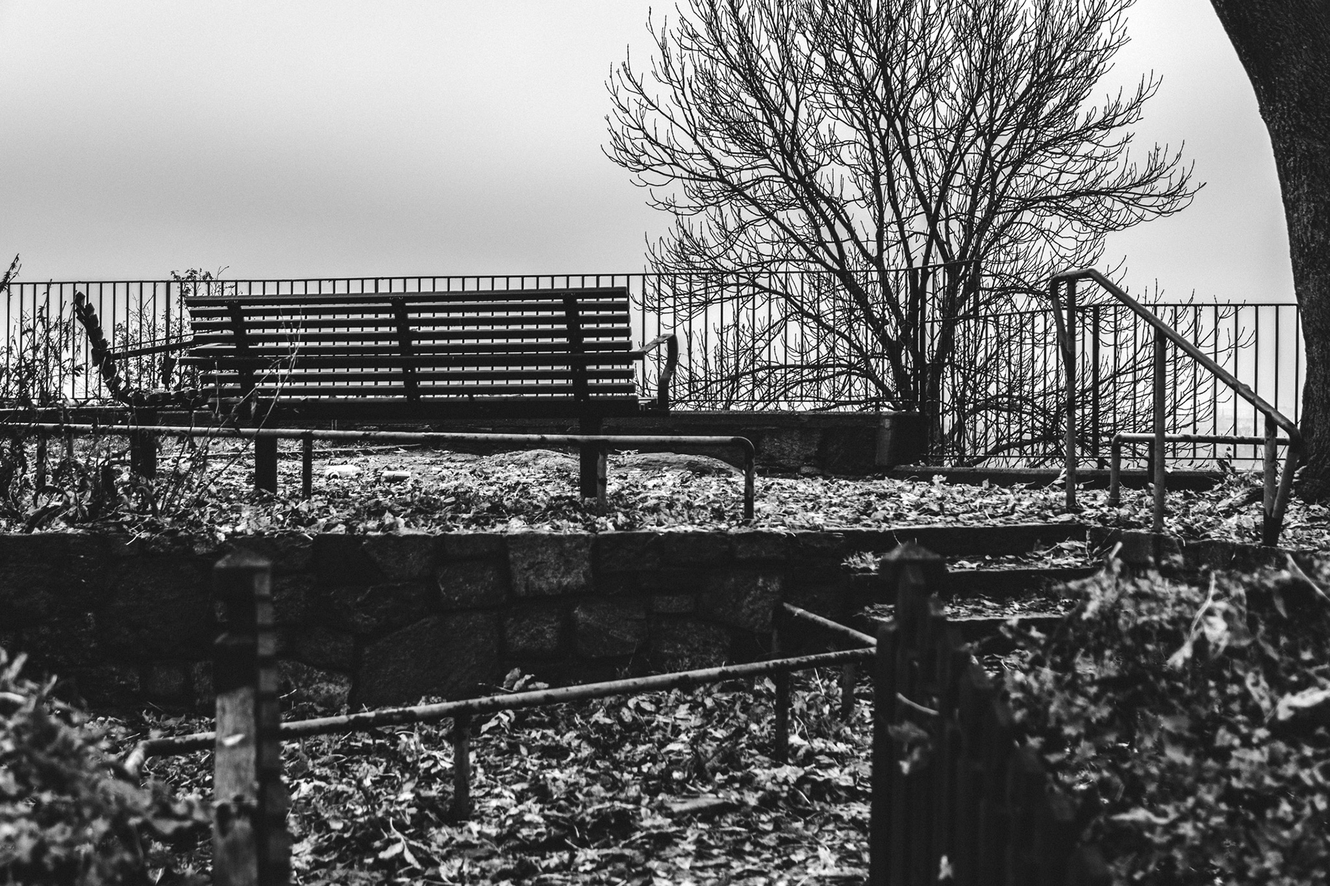 Cornelisparken