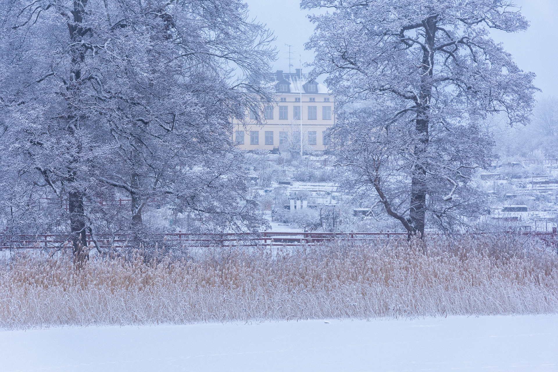 Riddersviks herrgård
