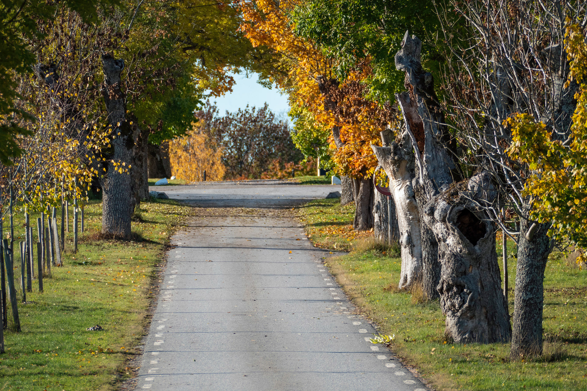 Runsa gård