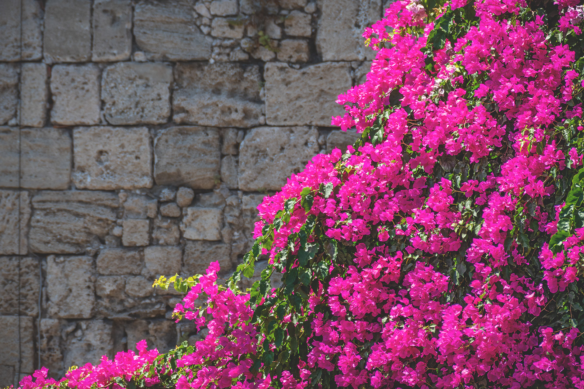 Rhodos