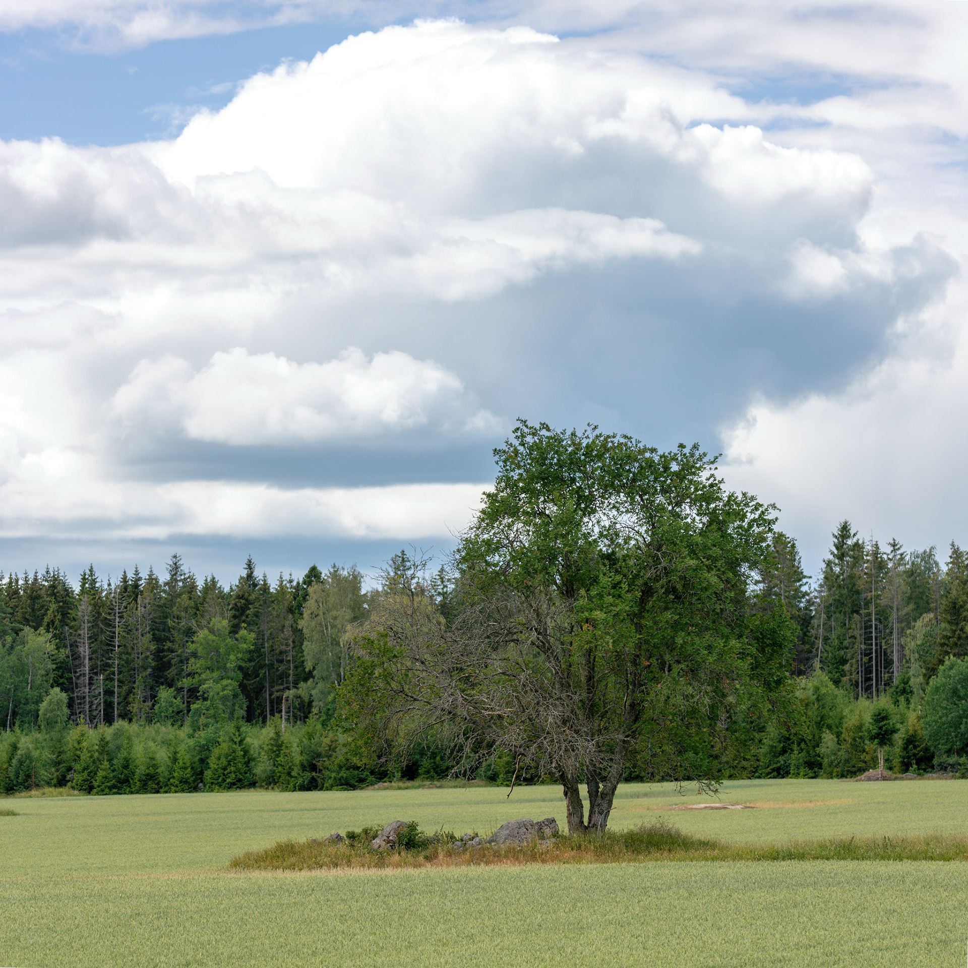 Enköping