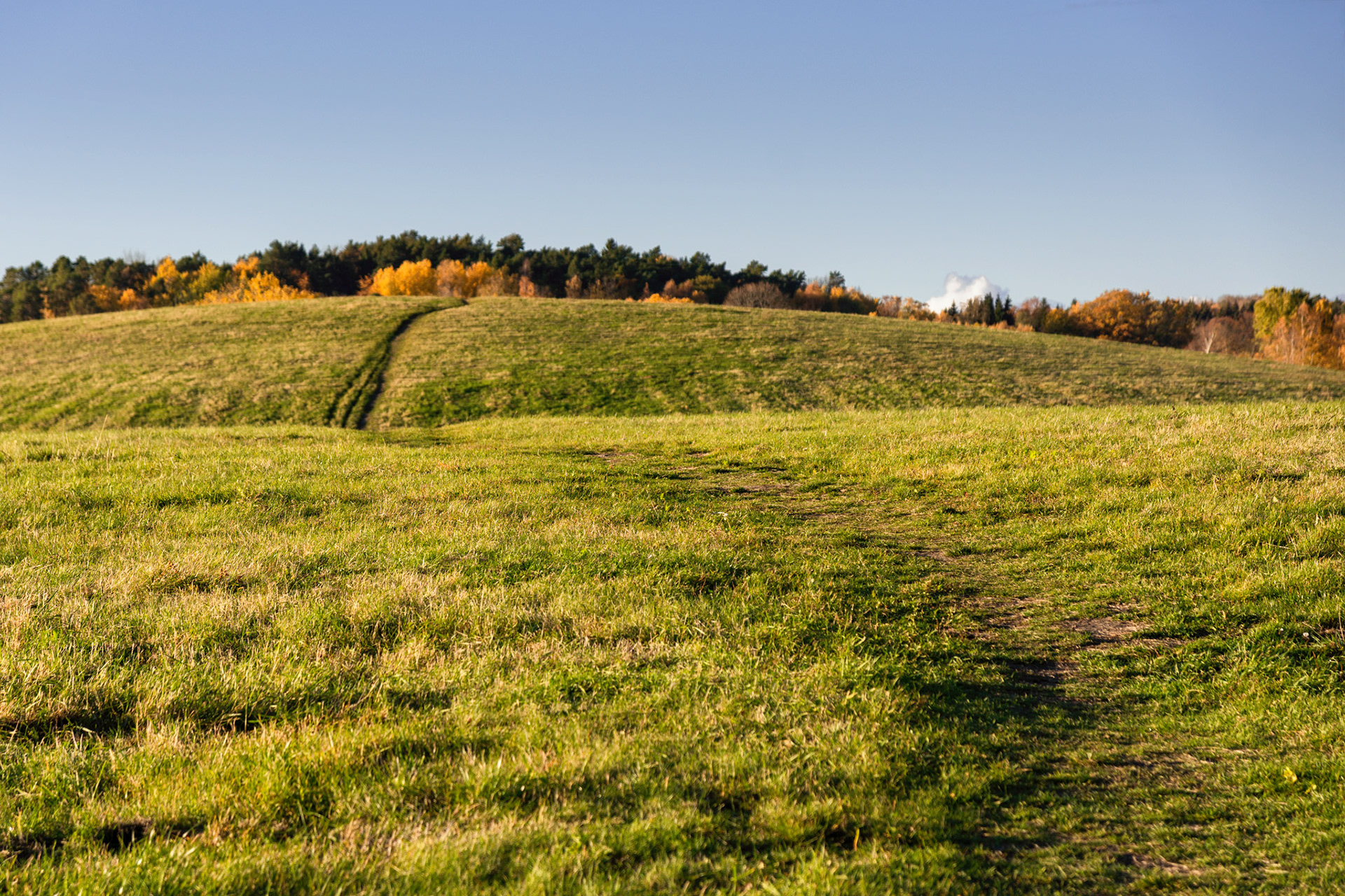 Lövsta
