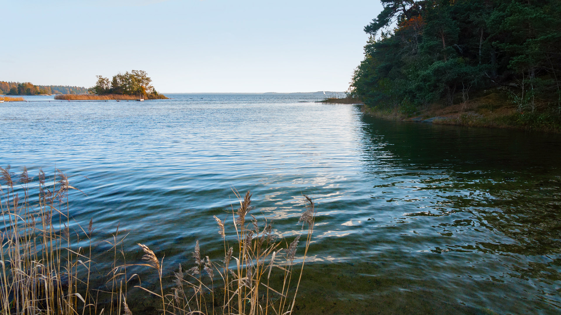 Väddö