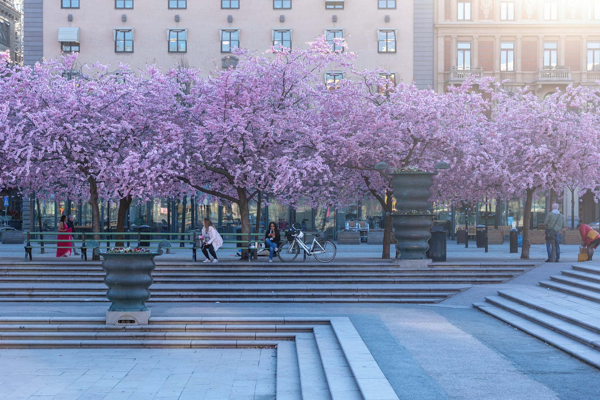 Kungsträdgården