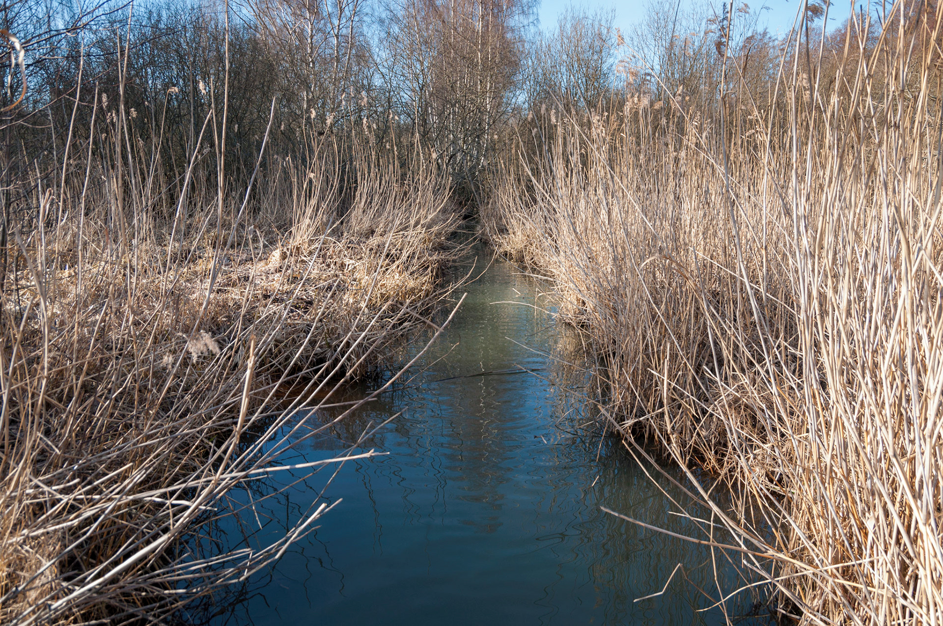 Råstasjön