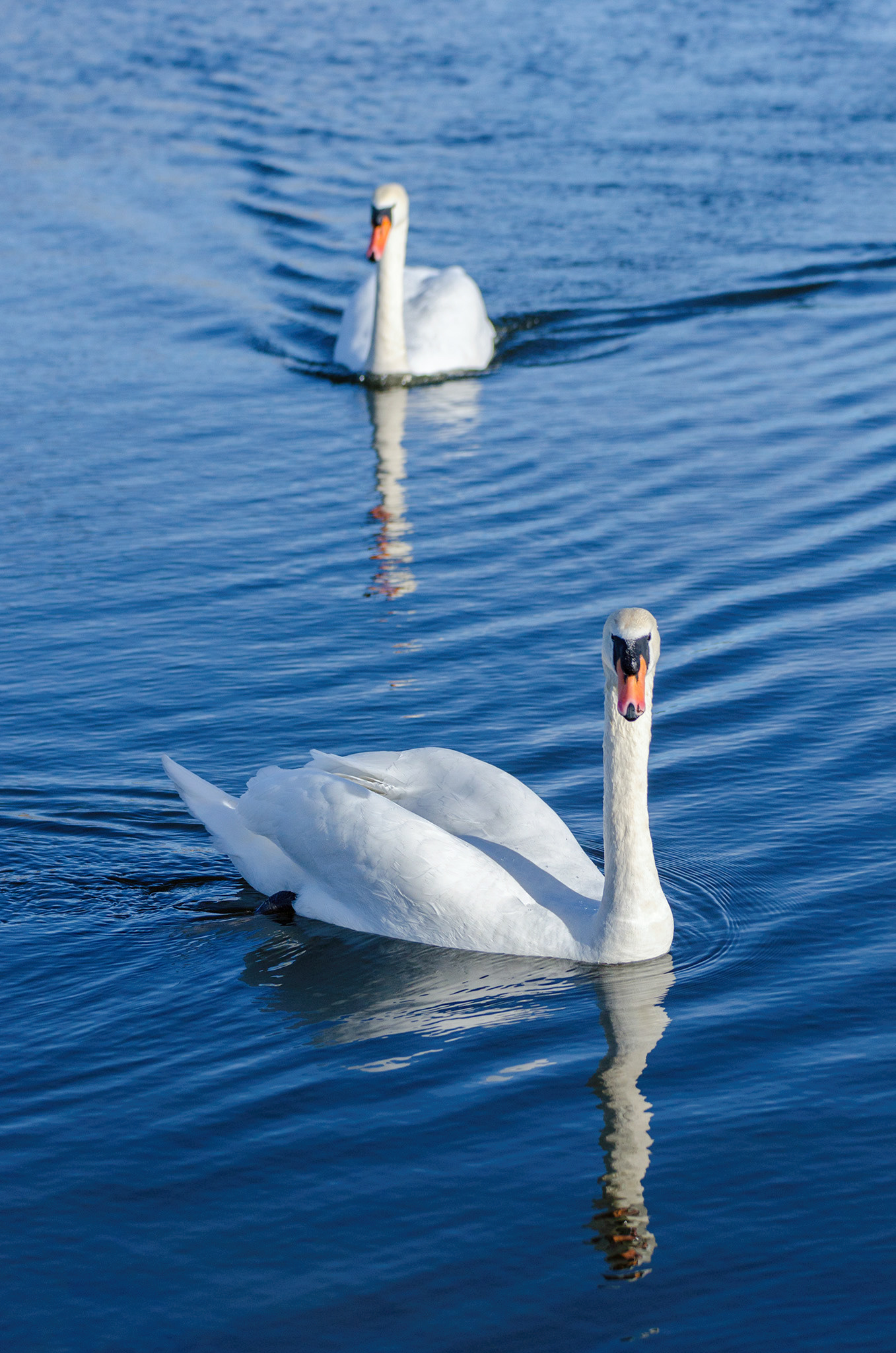 Råstasjön