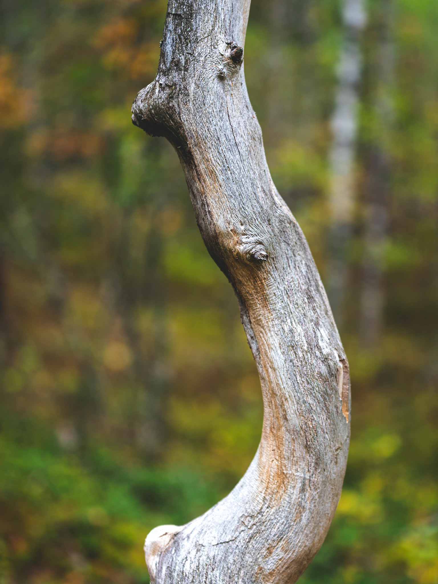 Vallensjö