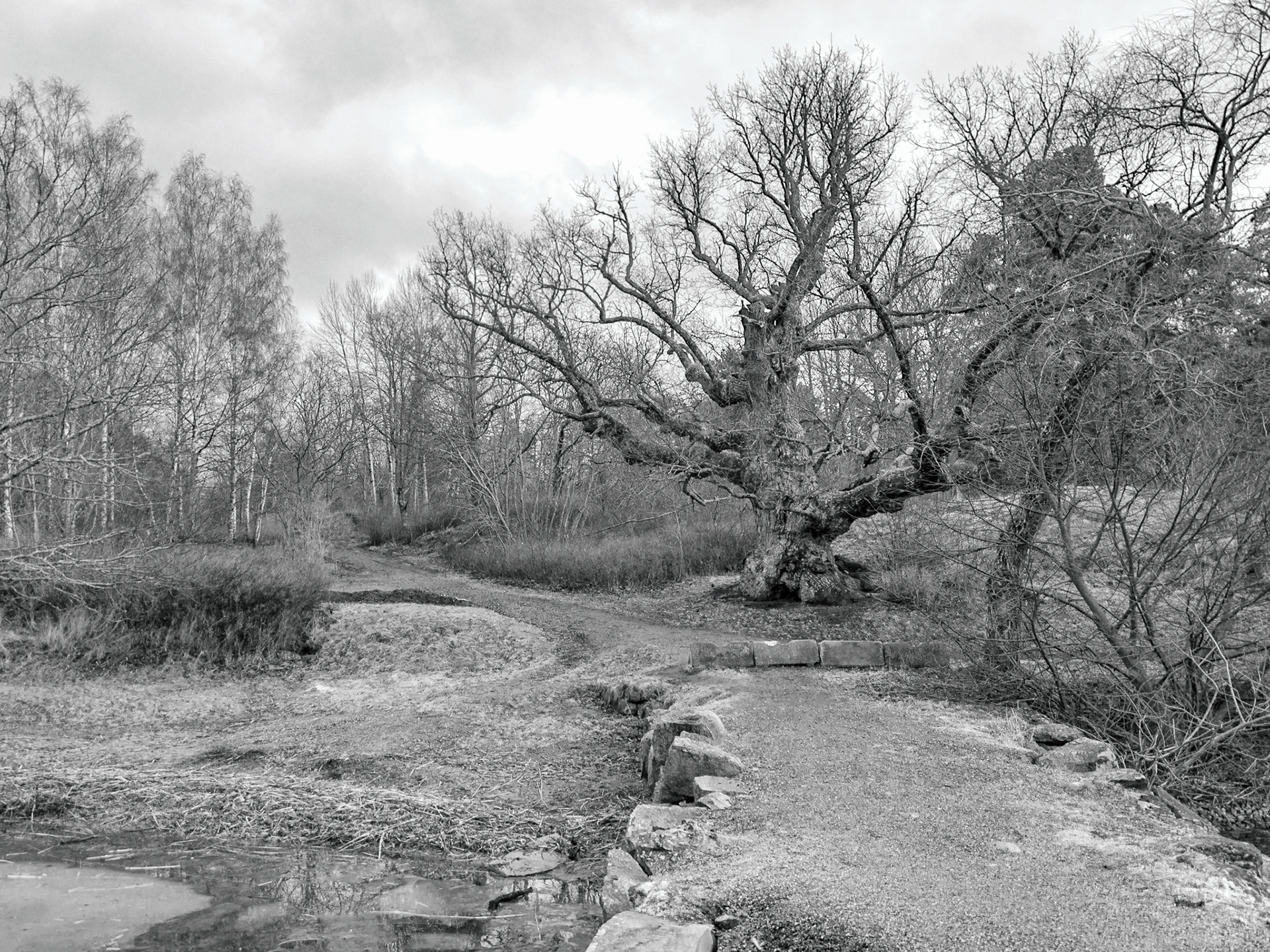 Sandvik, Järfälla