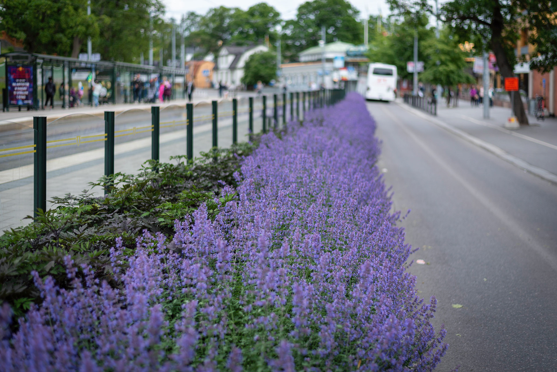 Djurgården