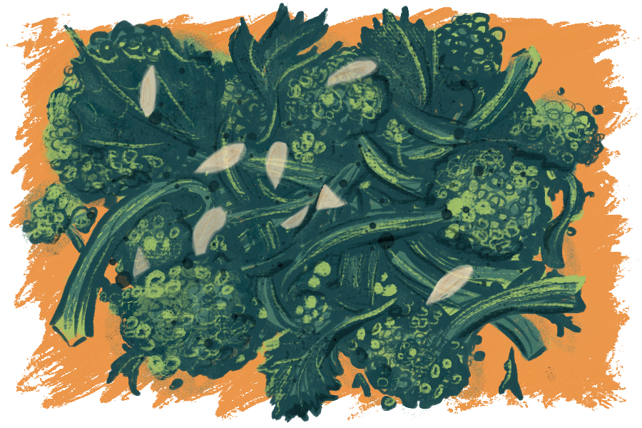 Broccoli Rabe | Laptop Dinner Spot Illustration | Digital