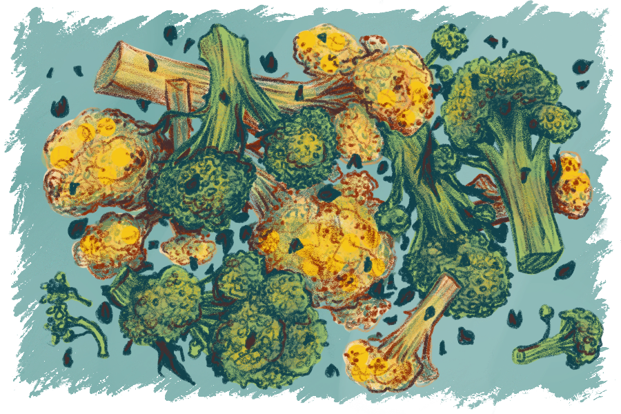 Broccoli, Cauliflower, & Capers | Laptop Dinner Spot Illustration | Digital