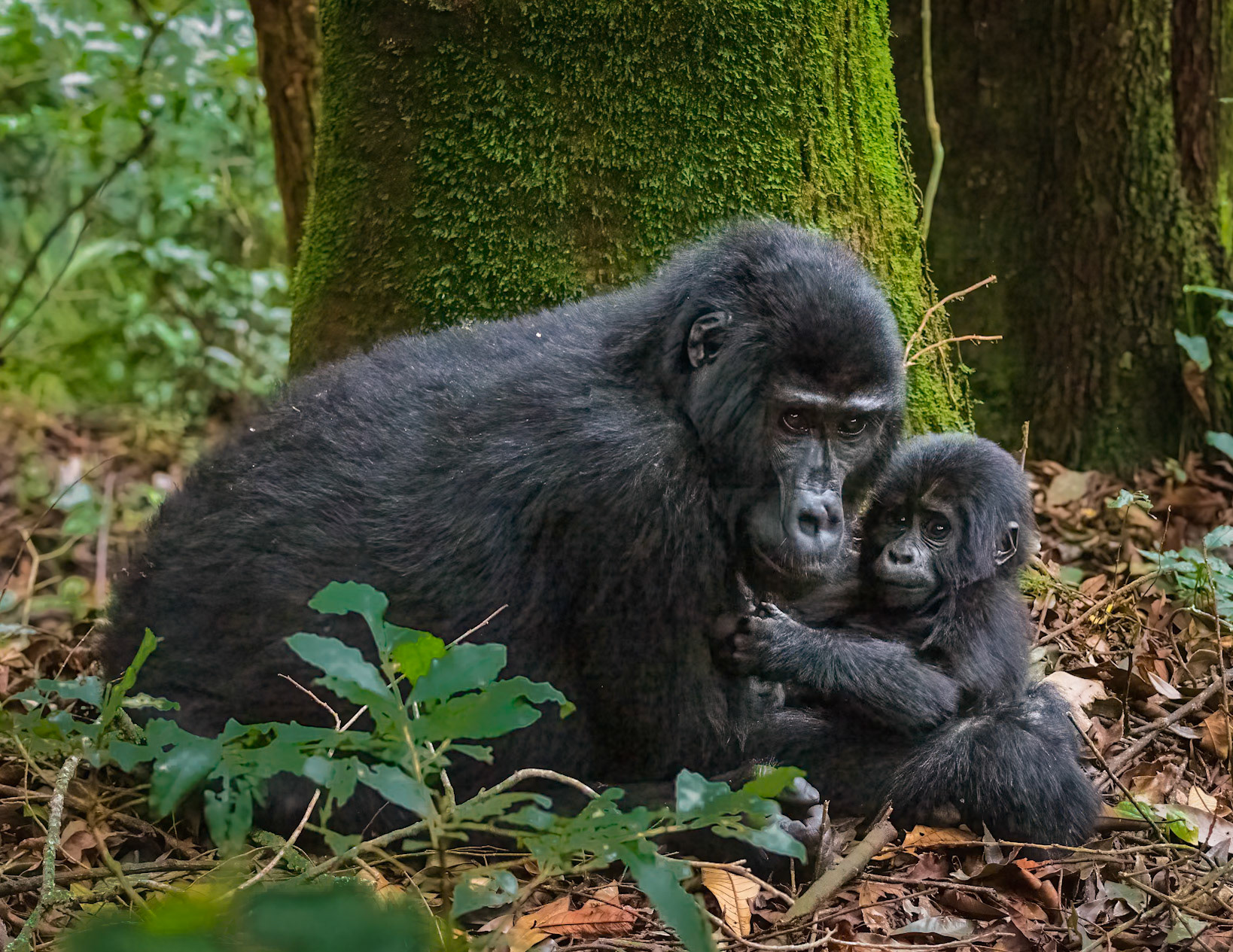 Motherhood - Uganda