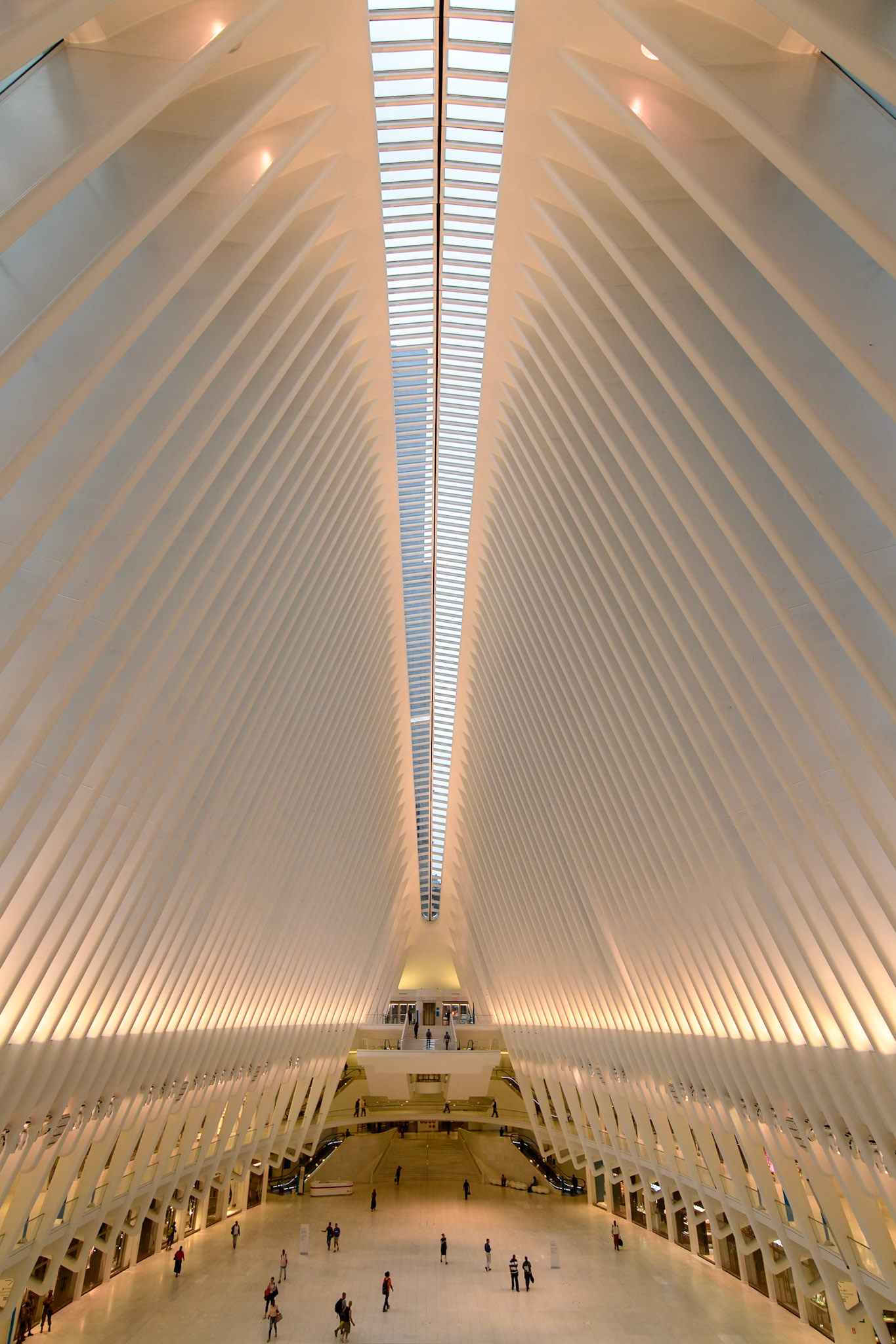 Winged Oculus