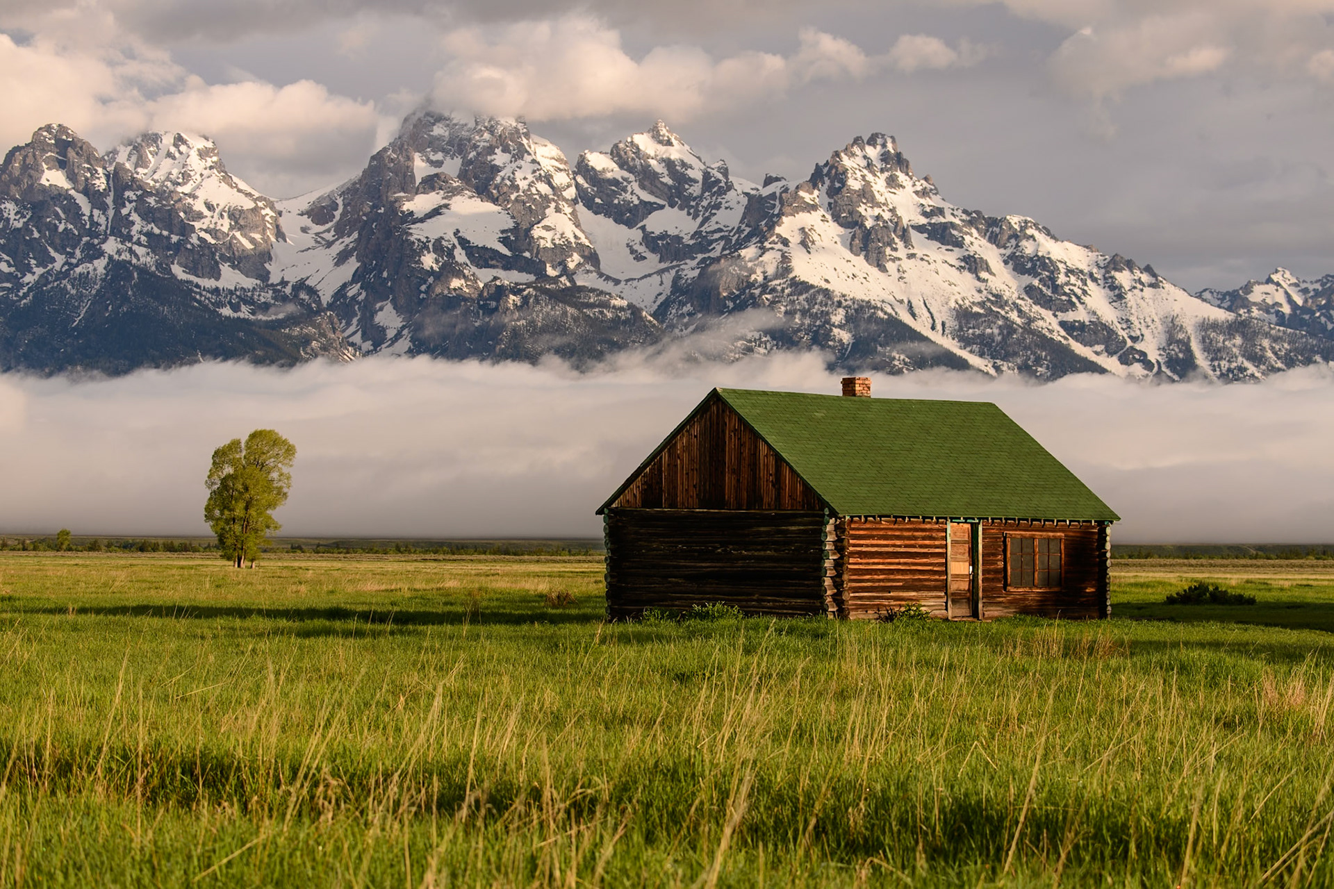 The Homestead