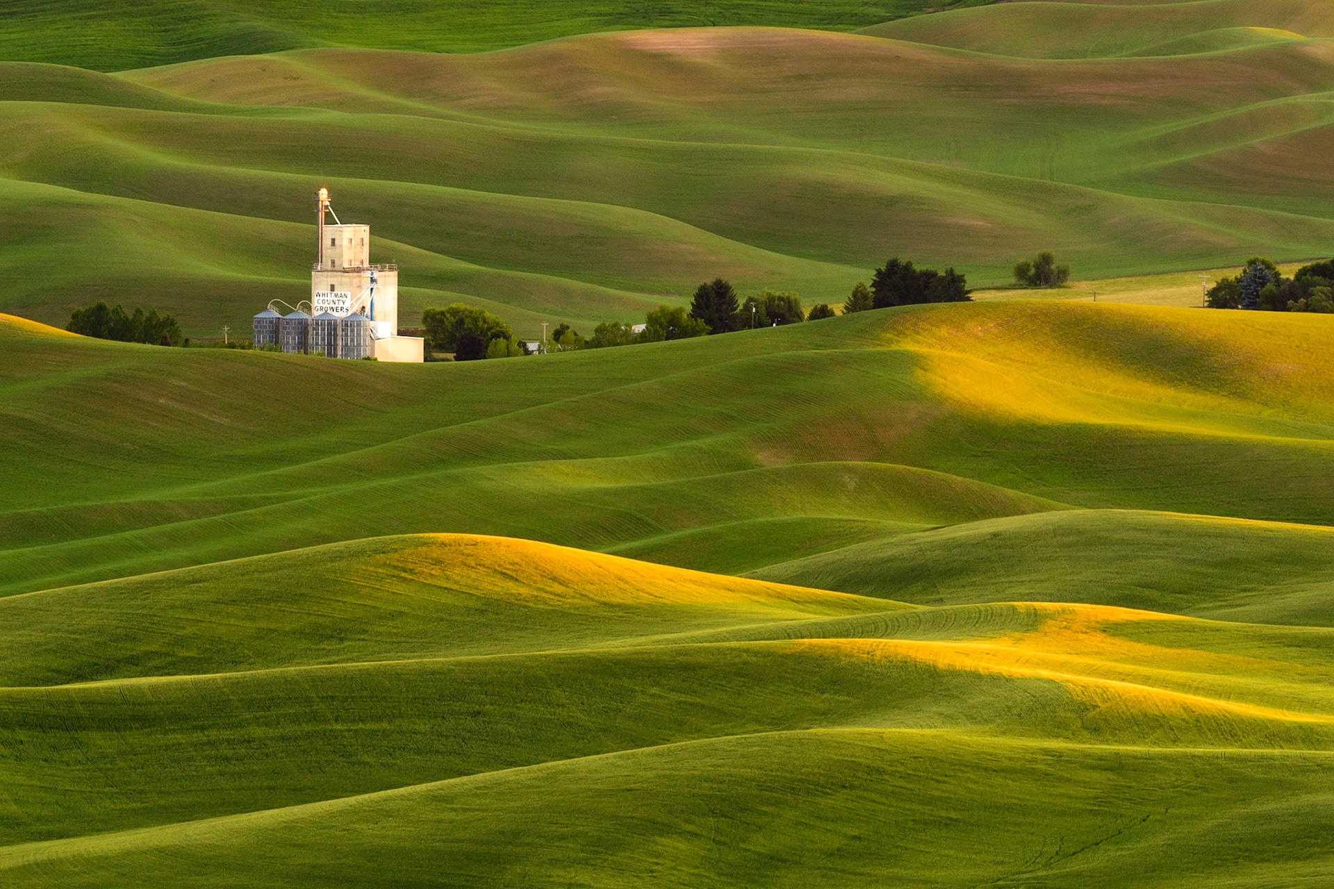 The Grainery