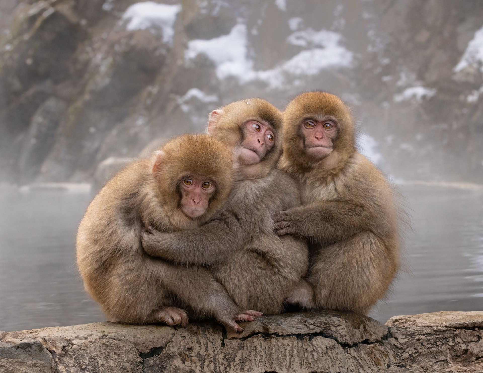 1st Place ACCC Color Open, Spring 2023; 1st place PCC-April-Color Open, 1st place in PCC Annual 2023 Color Open; Photography Society of America (PSA), 2024 Chapters Showcase, Best in Arizona Chapter