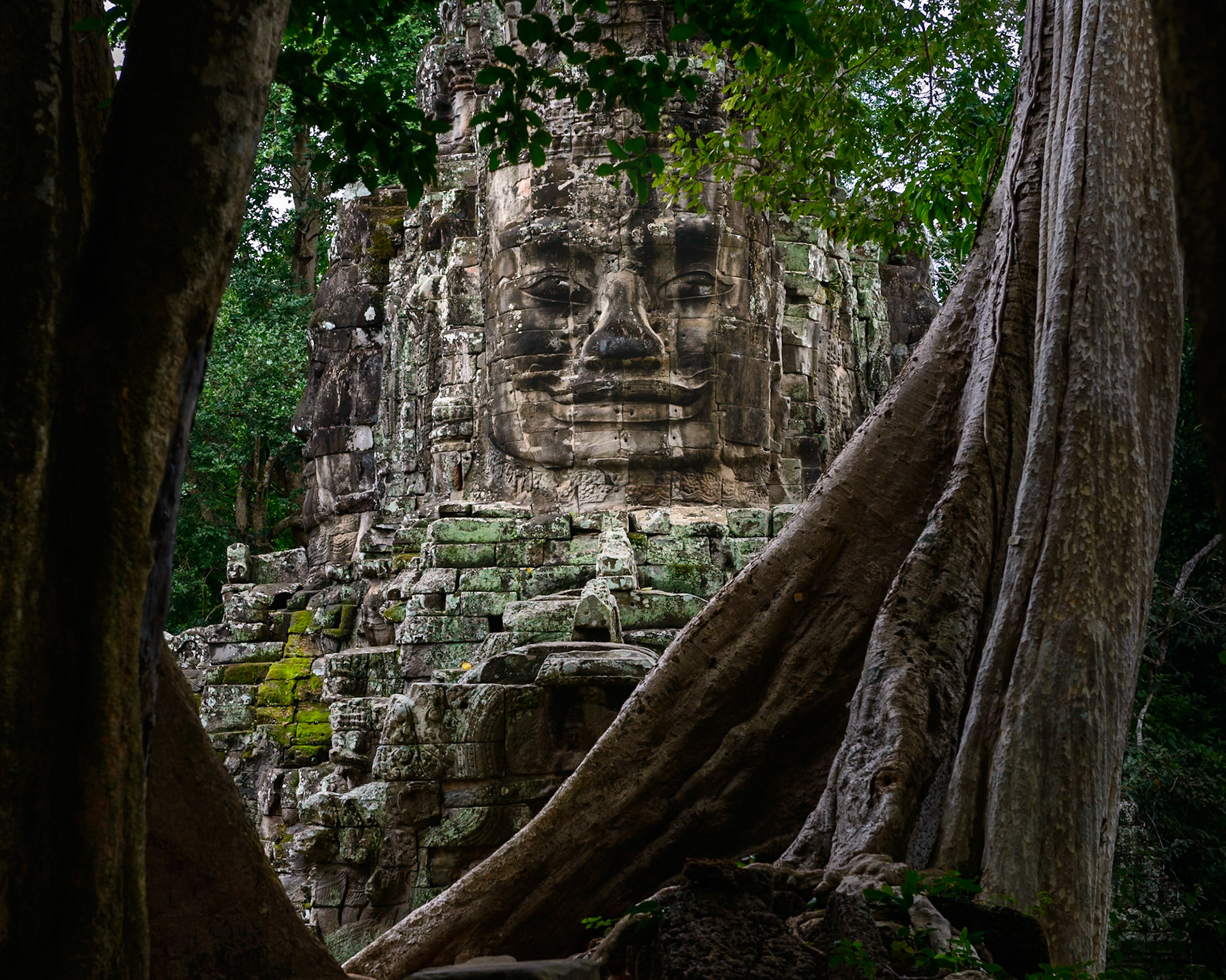Face of the Temple Gate