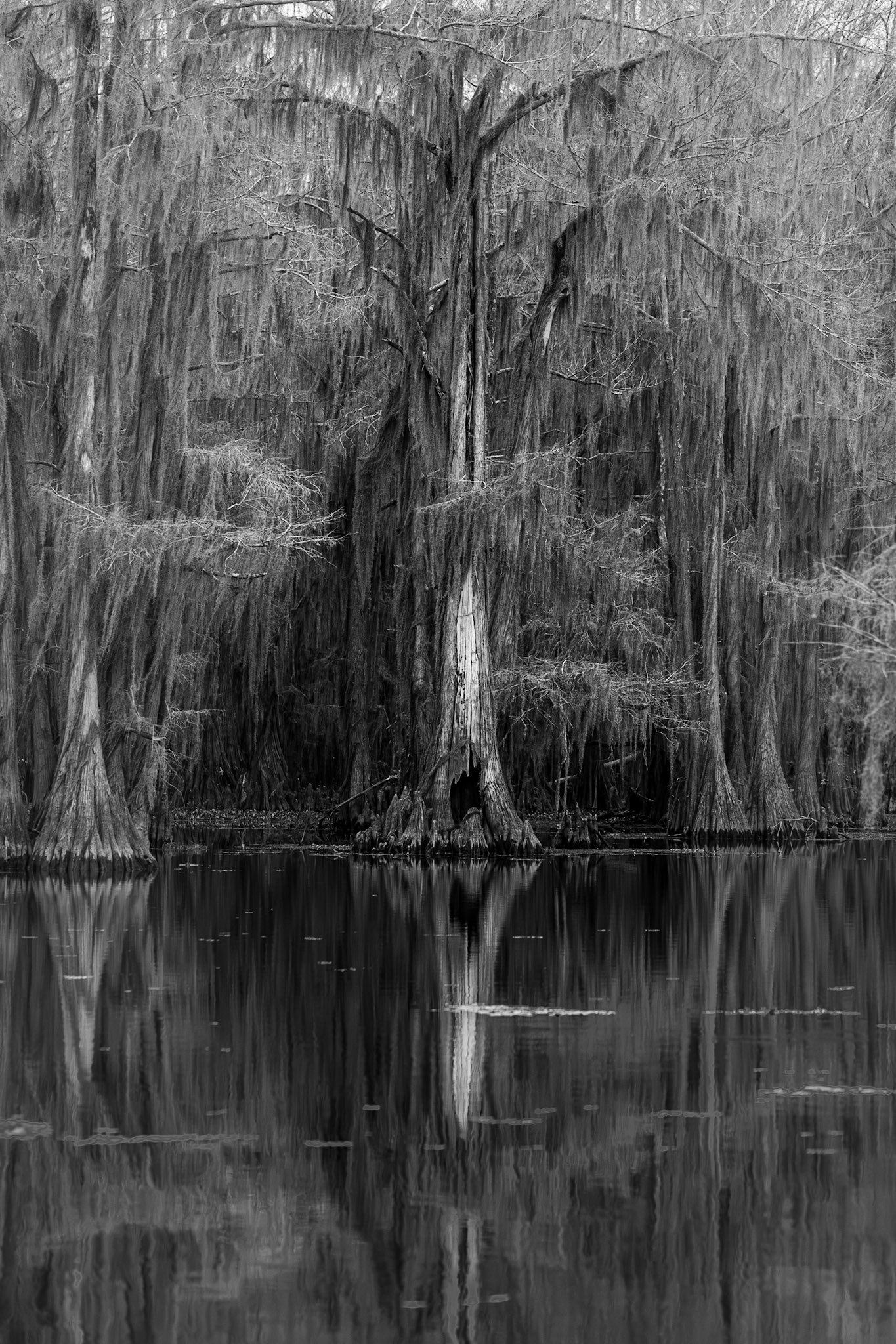 PCC Apr 24: 2nd place in Fine art