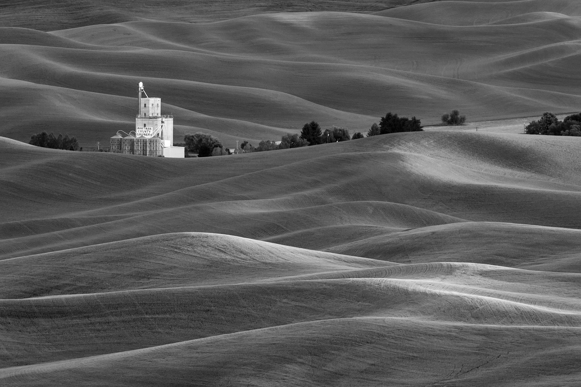 Classic Palouse Up Close