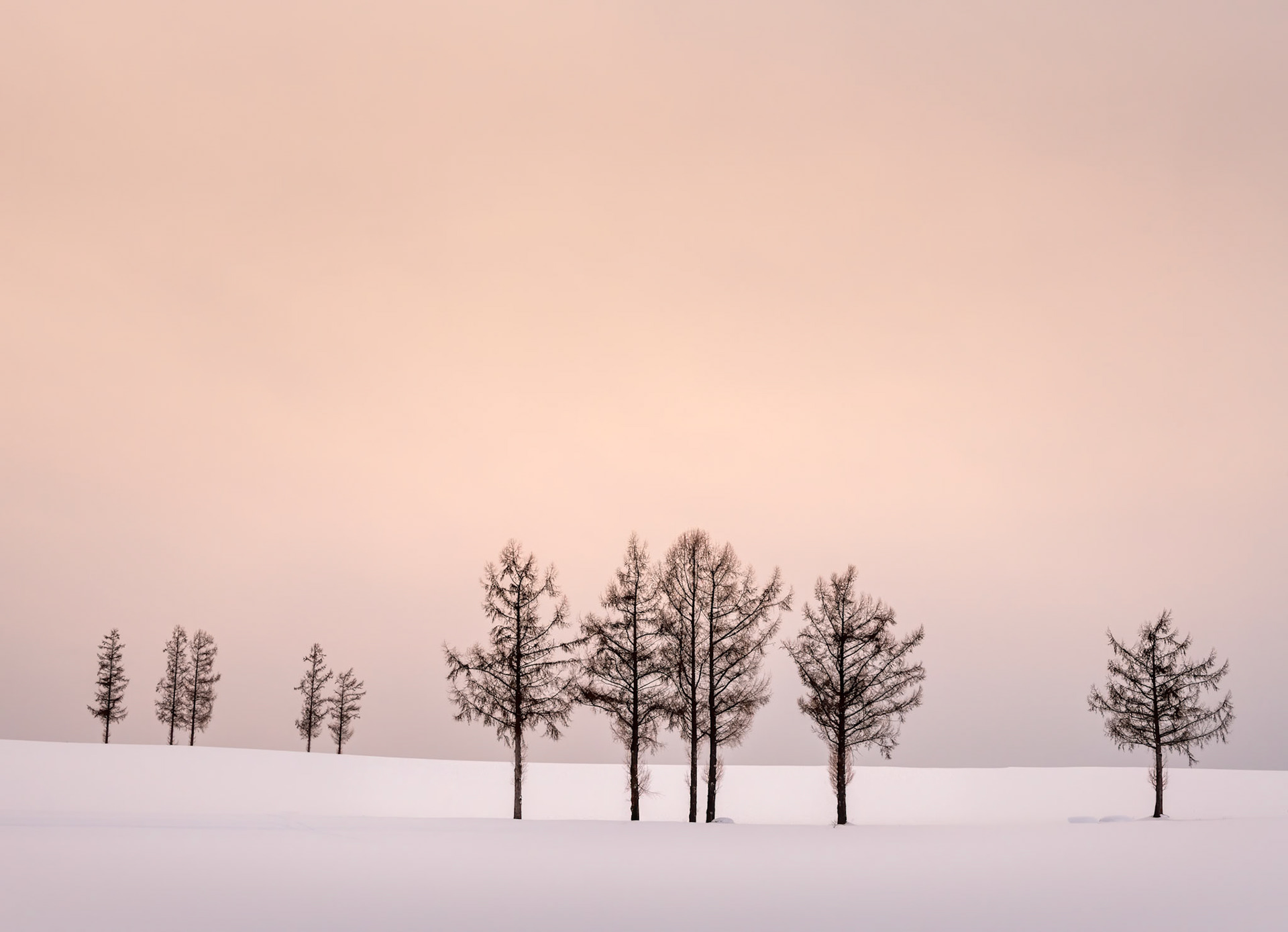 removed shrubs and grass in PS. Sharpened in Topaz AI Sharpen