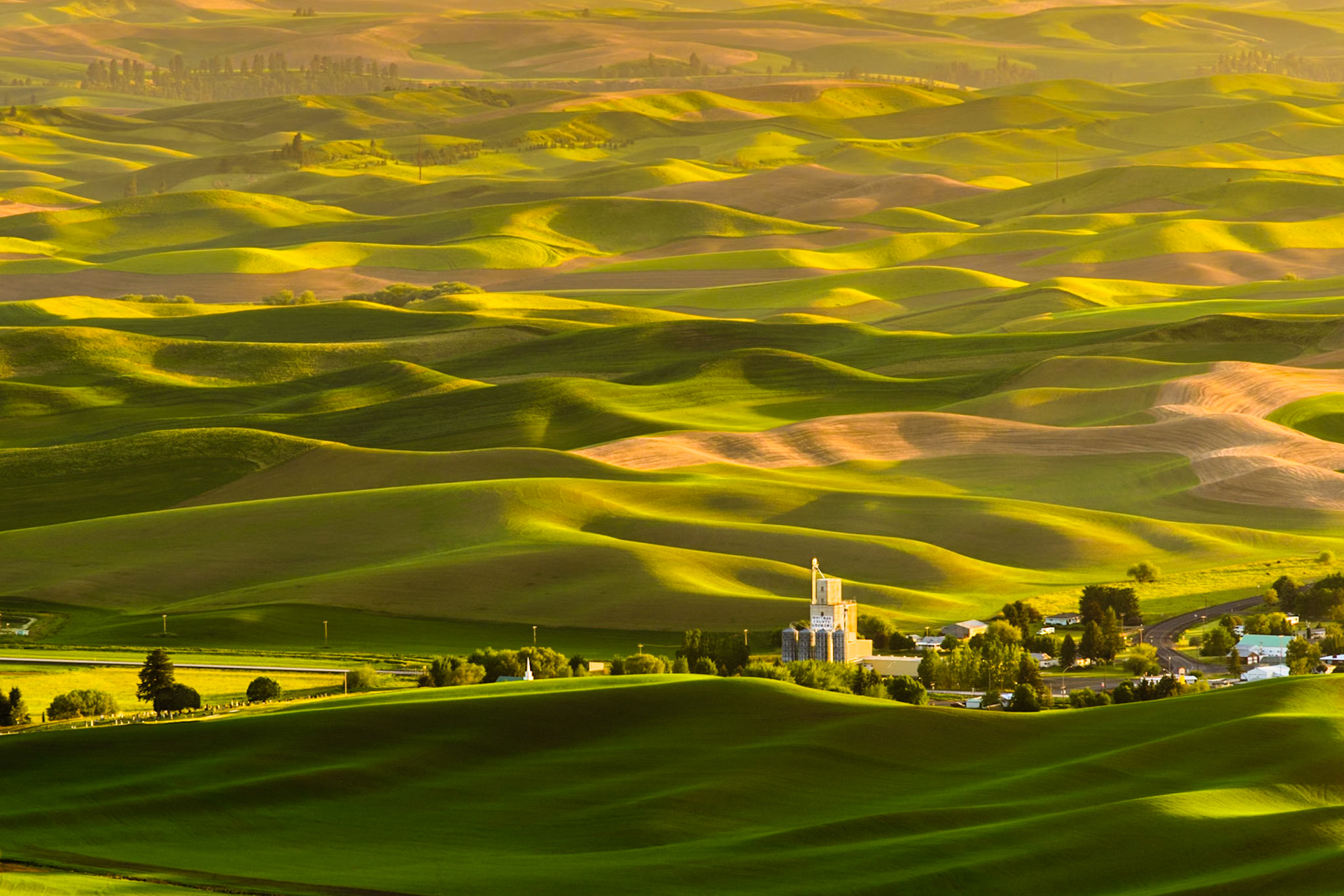 It was late afternoon and the dust from the farmers working the fields mixed with the golden light to give the hills a soft surreal look.