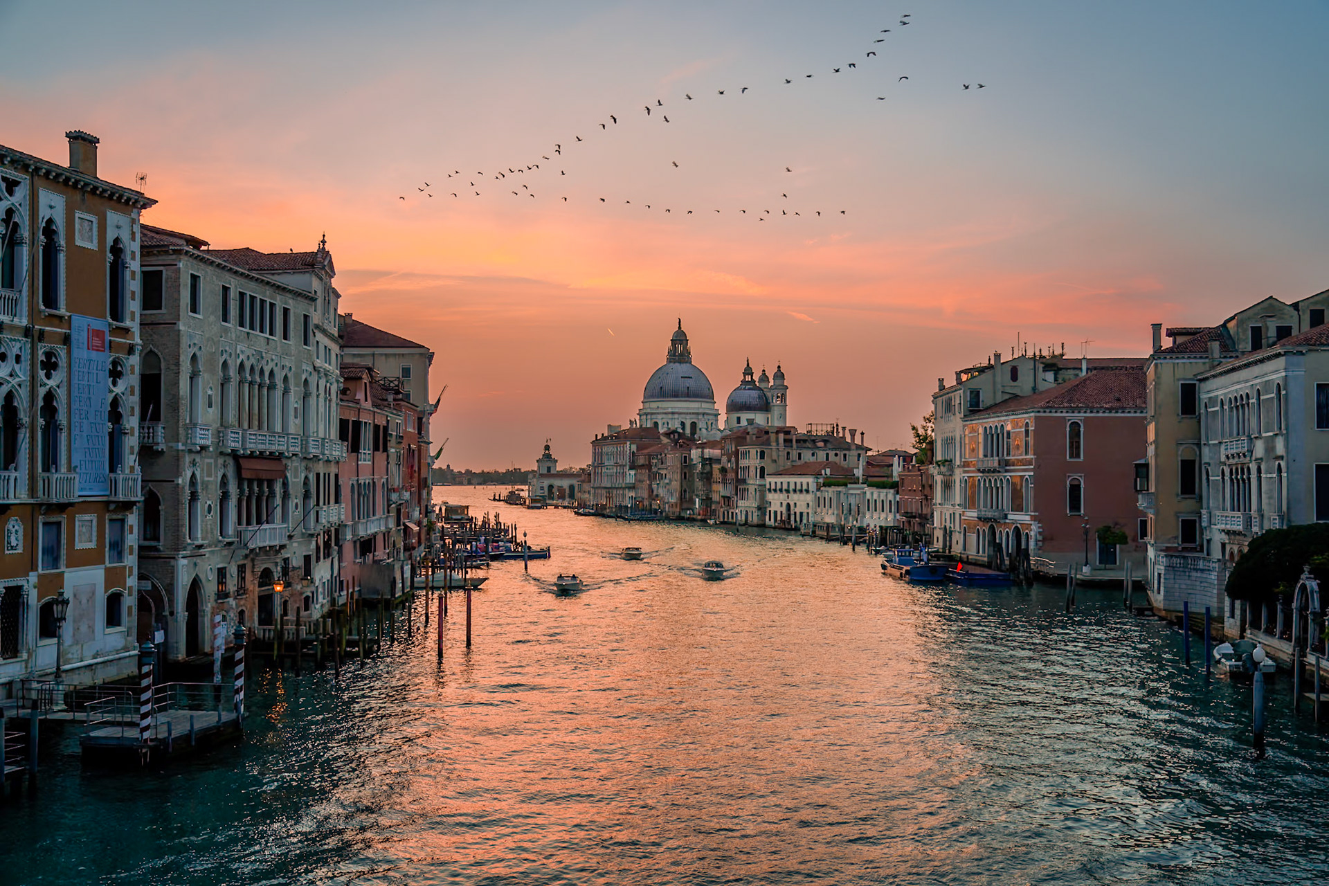 Grand Canal with Flock of Birds