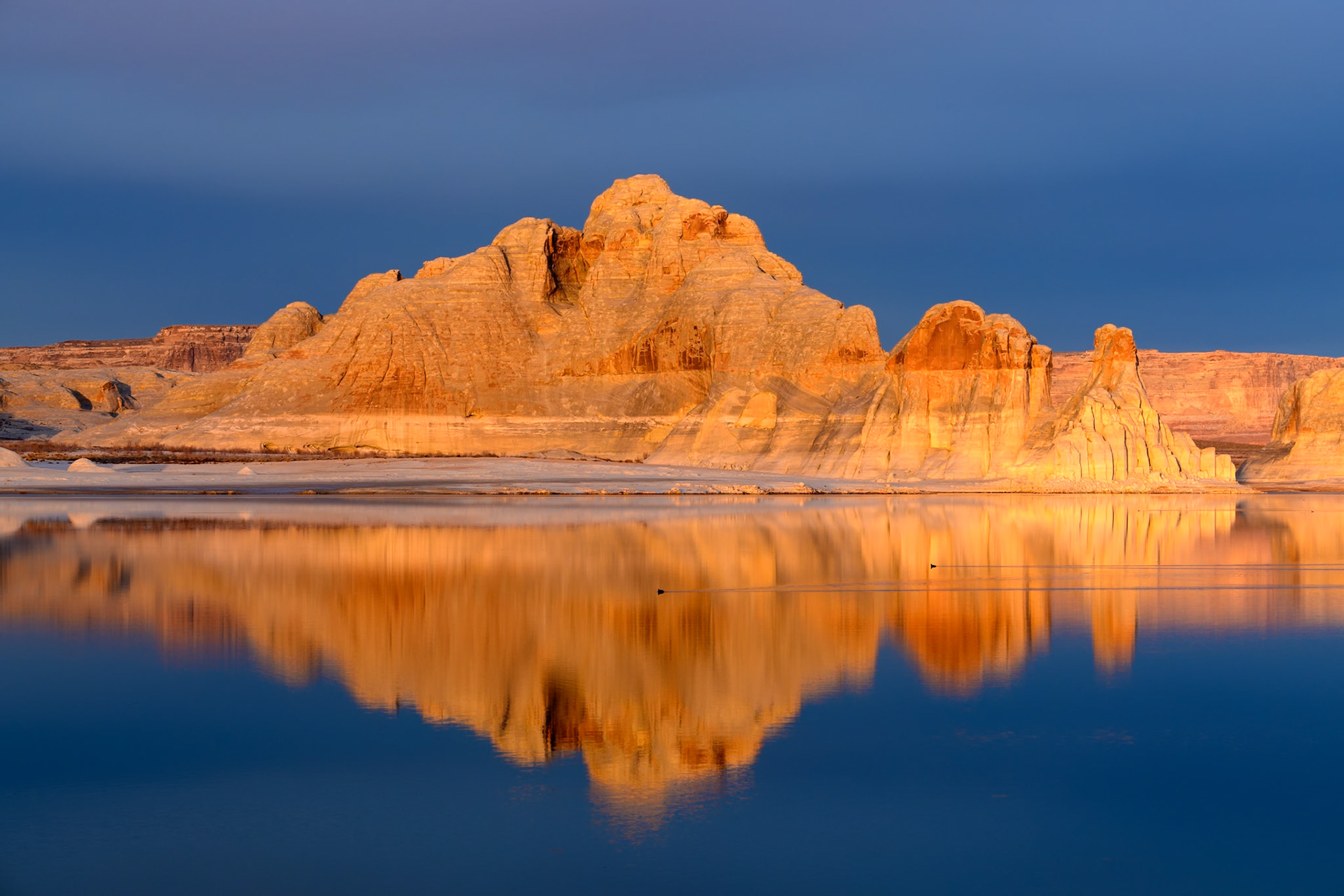 It was during late January and the water on Lake Powell was exceptionally still. The water level seems lower each time I visit. I keep thinking, it may be the last reflection I am able to shoot on the lake. On this afternoon, the golden color was even more amazing against the dark clouds. Two ducks cut across my photo as I was shooting. I wanted to be annoyed, but I liked the lines they created.