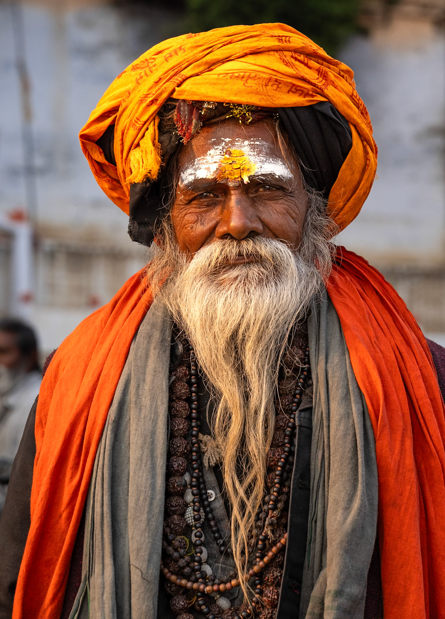 Colorful Varanasi Sadhu
