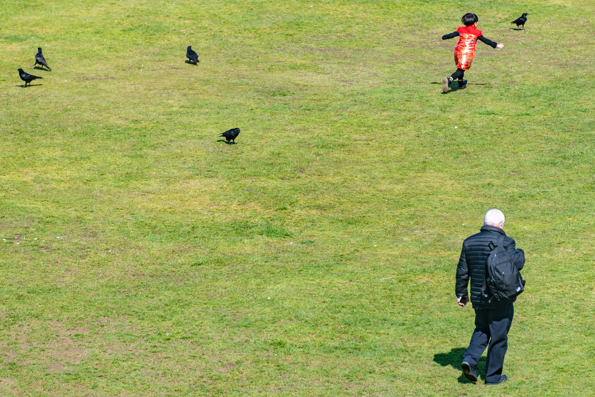 Louvre Lawn