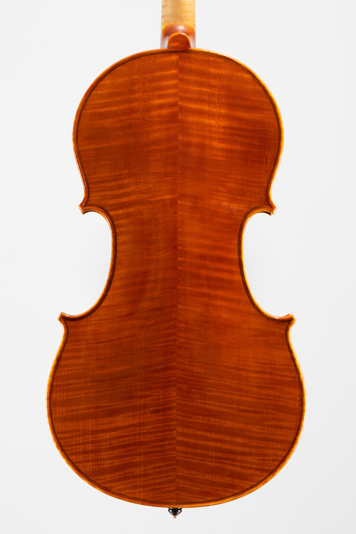 M° Giorgio Scolari, viola medicea
