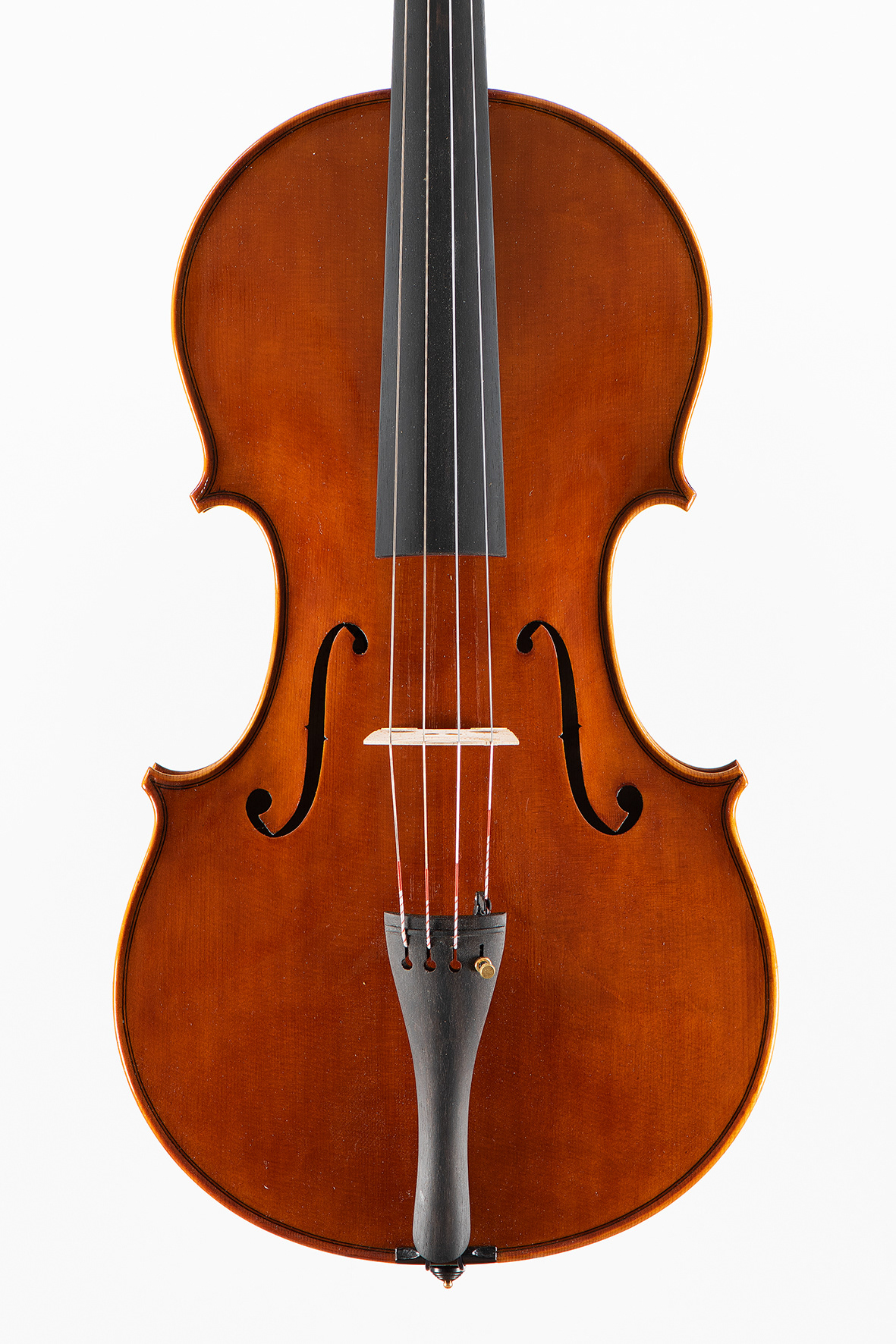 M° Giorgio Scolari, viola medicea
