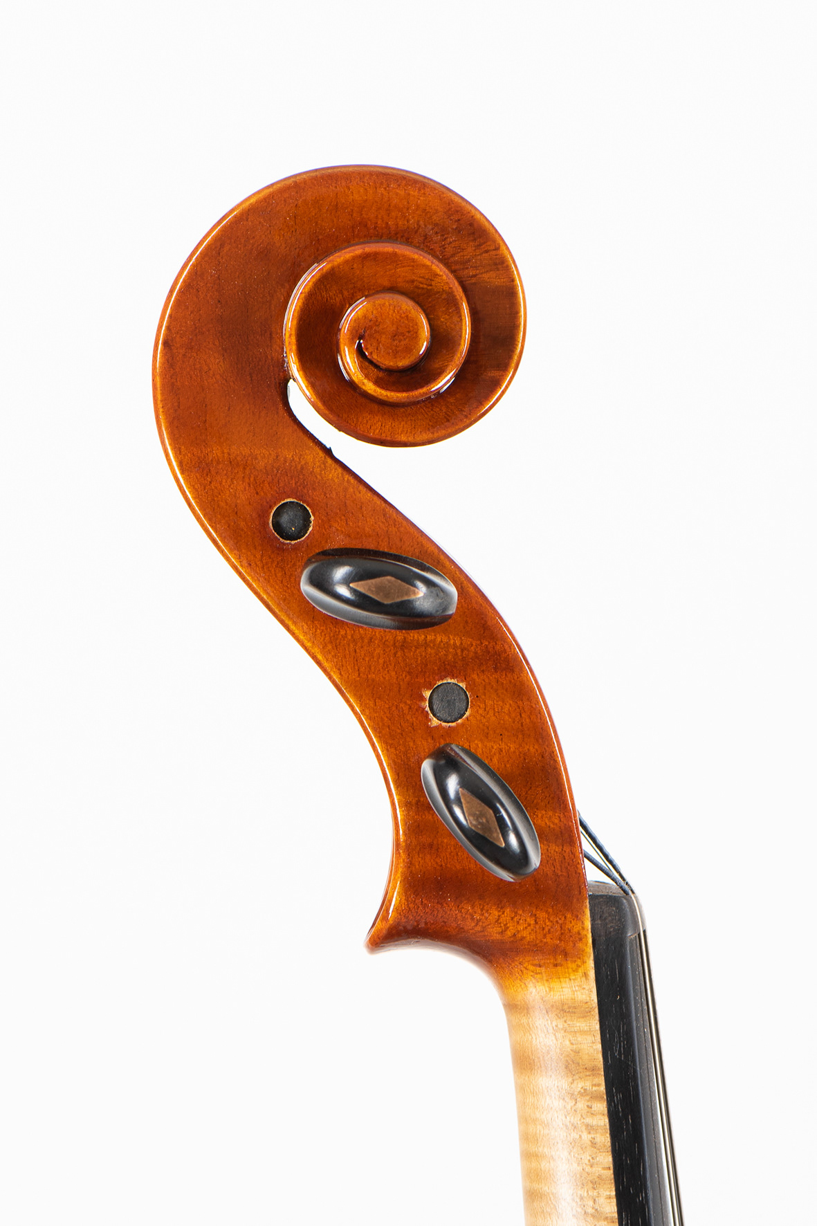 M° Giorgio Scolari, viola medicea