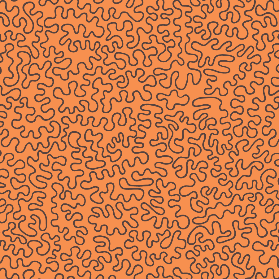 Vermi Squiggle