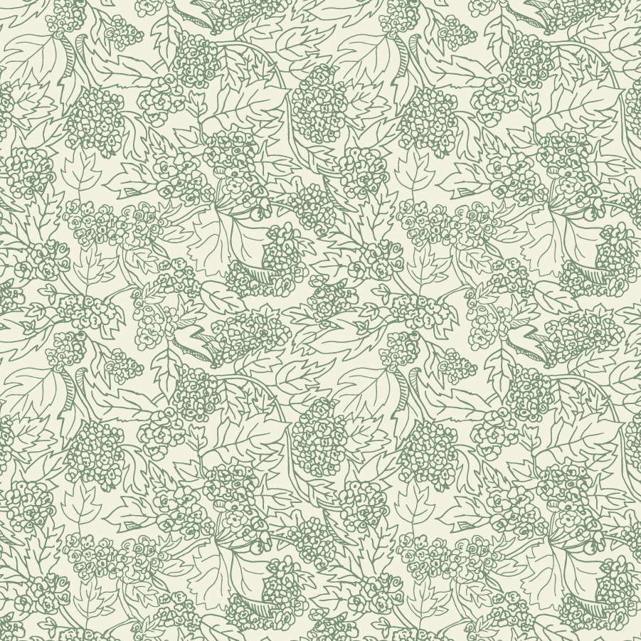 Quiet Bloom