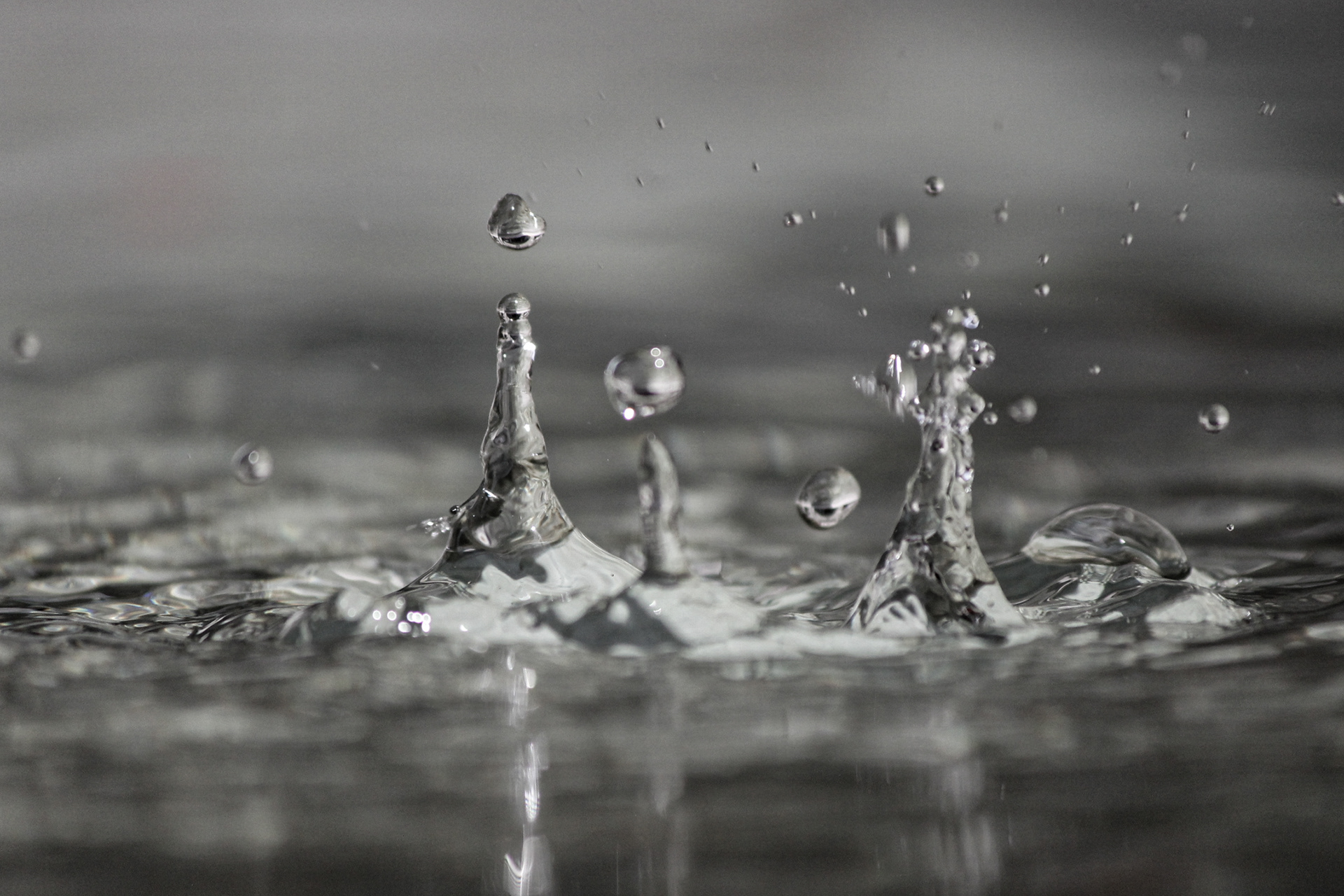 Wasser