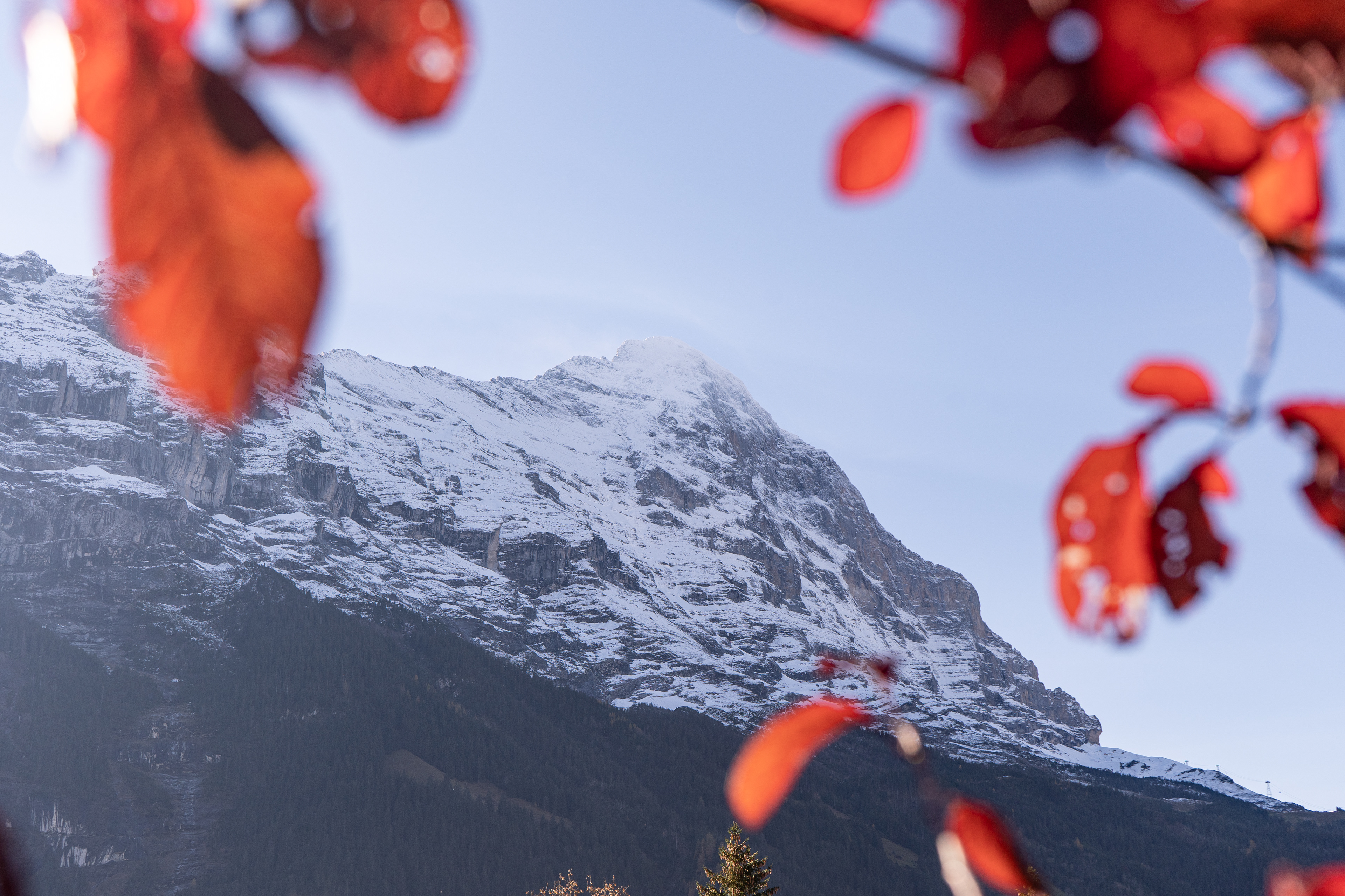 Eiger Herbst