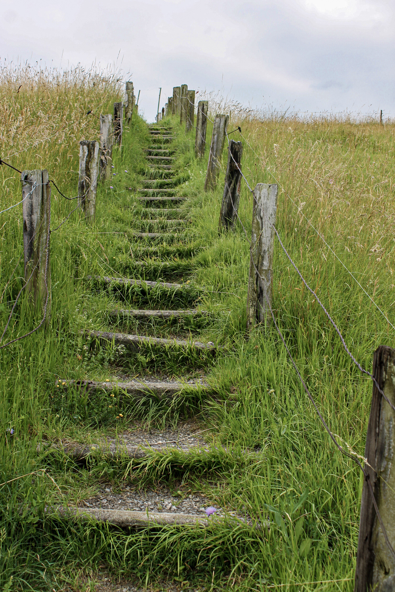 Wilde Treppe