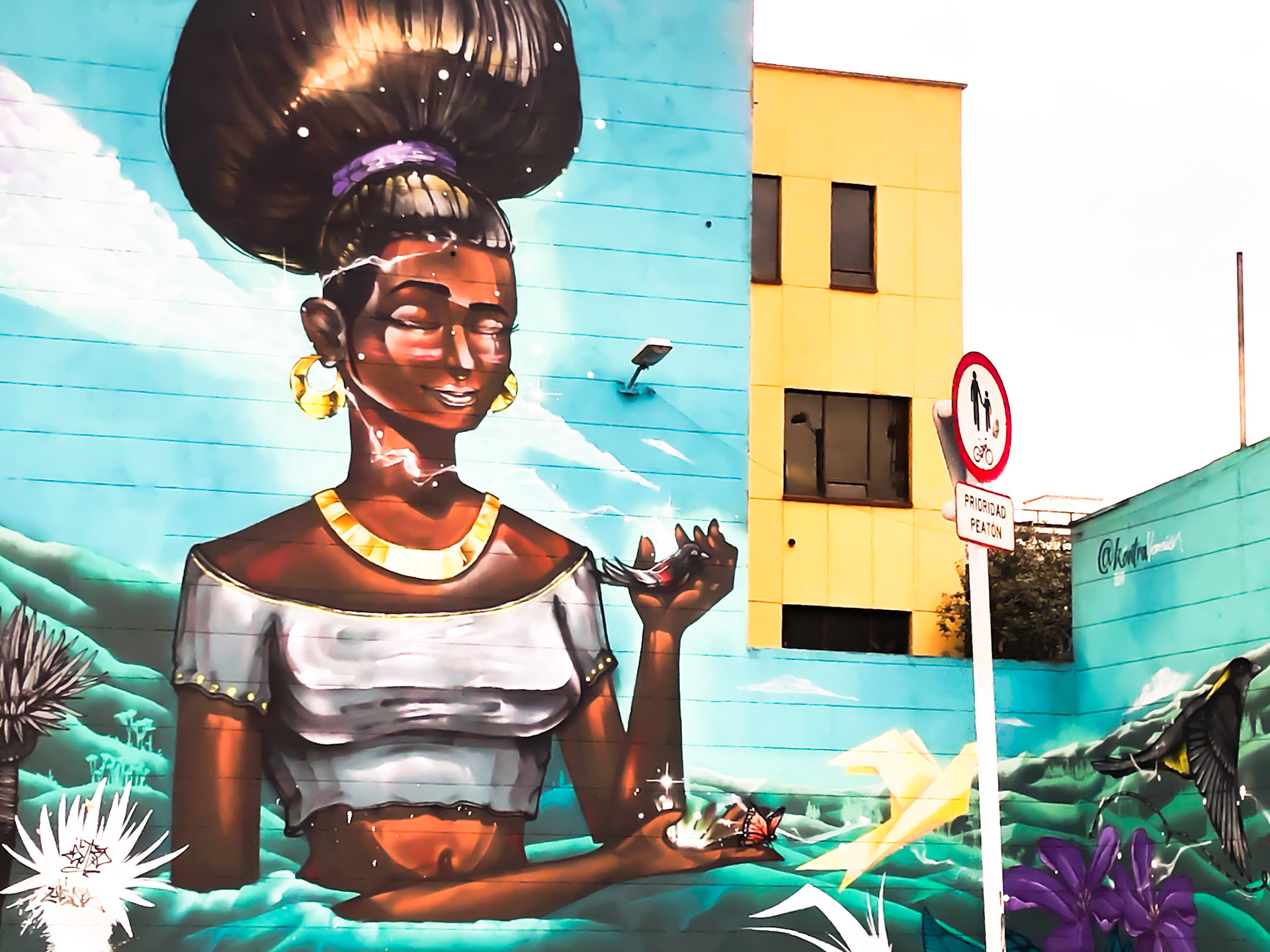Bogotá Street Art. Bogotá, Colombia. (2018). Fotografía propia.