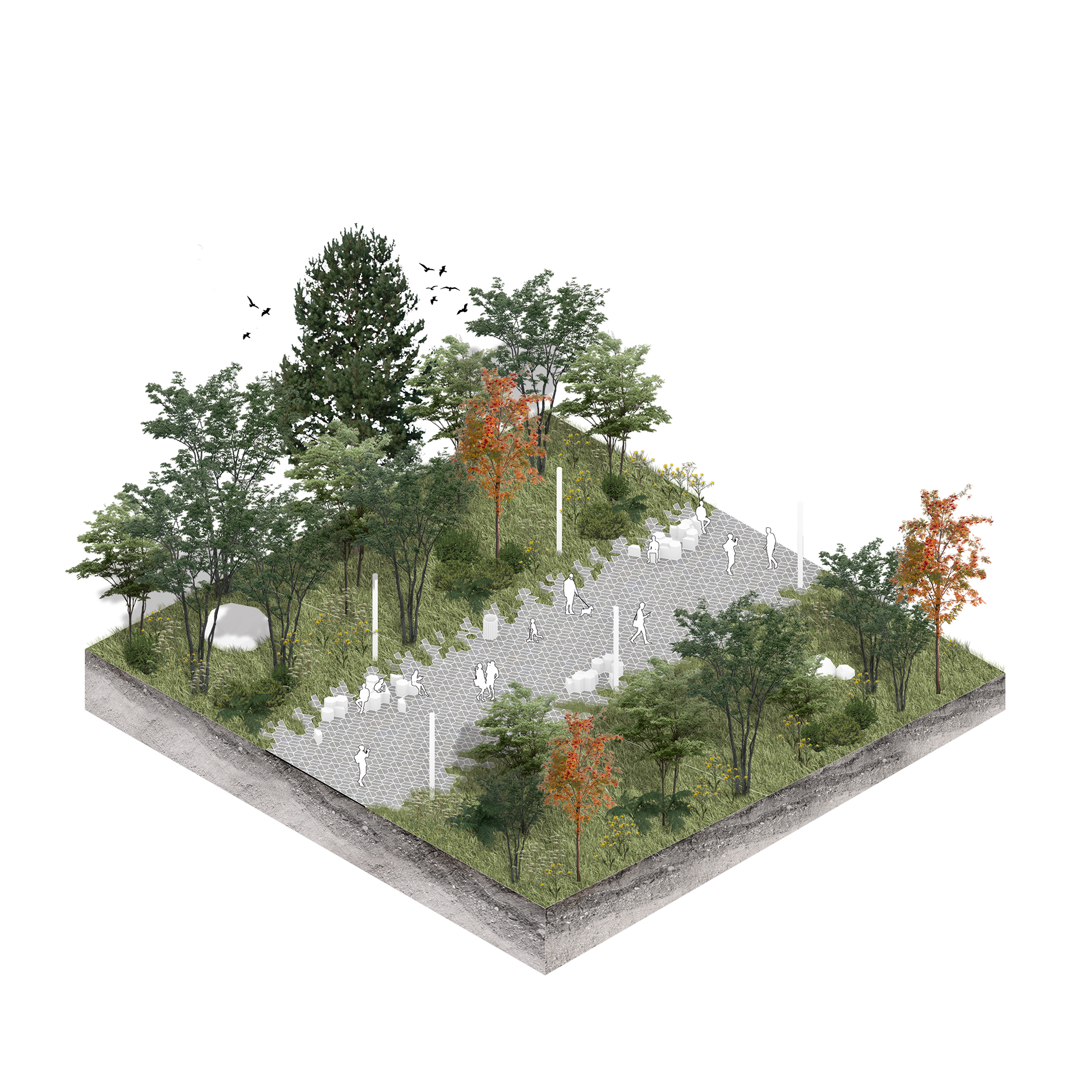 Urban Connection Paths