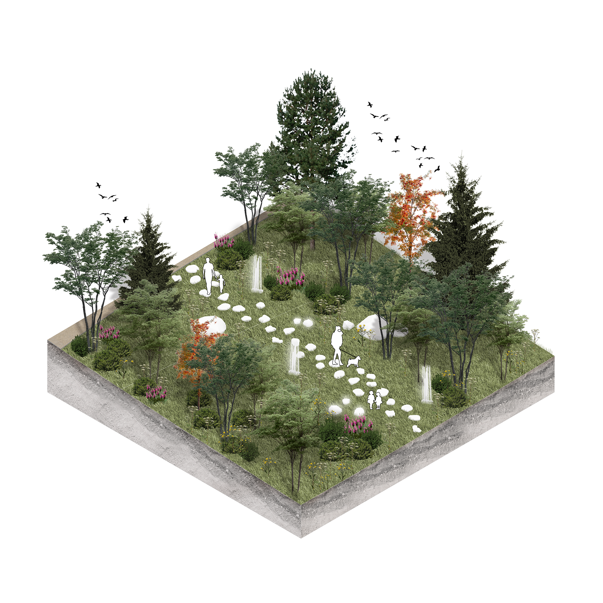 Ecological Pathways