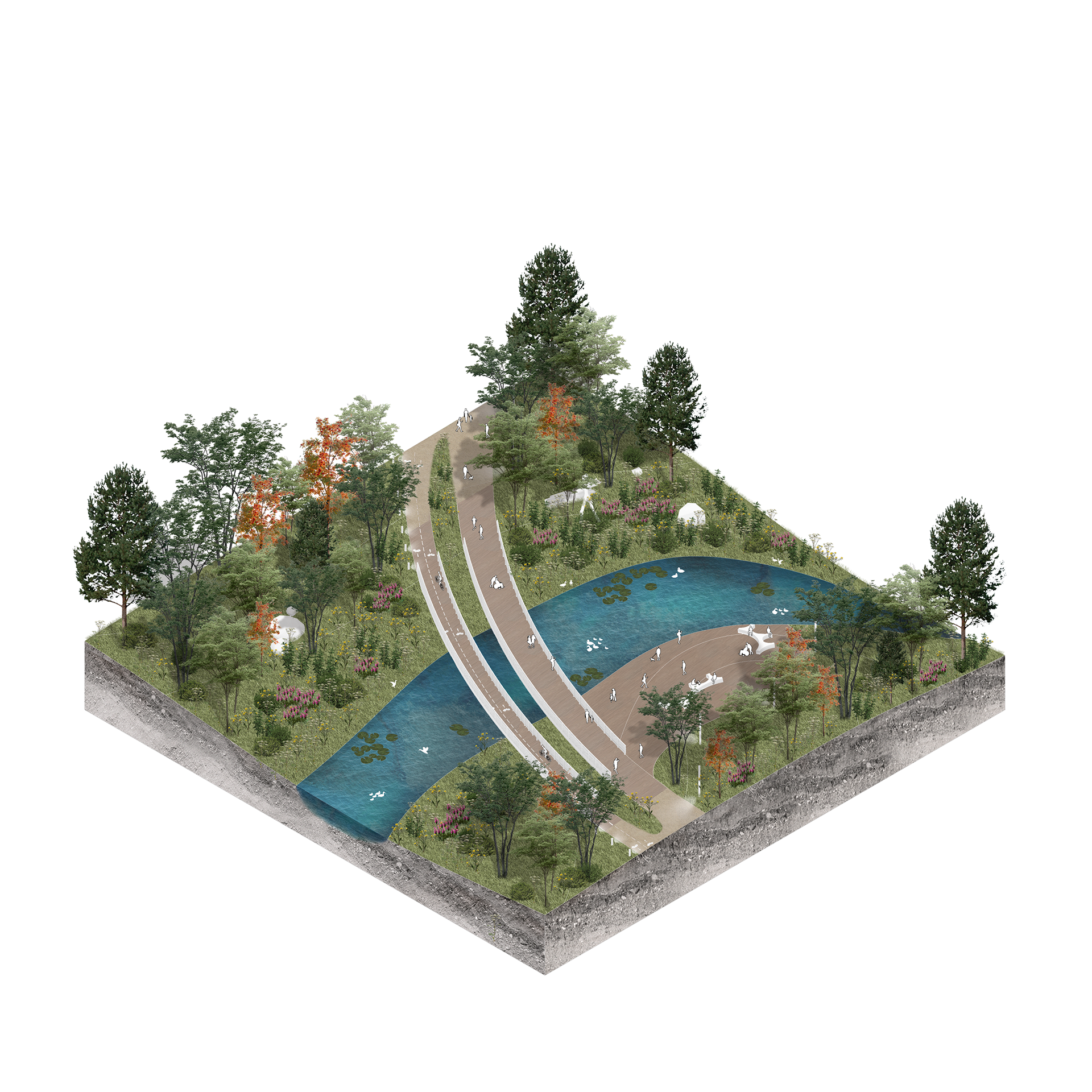 Waterfront Bridges