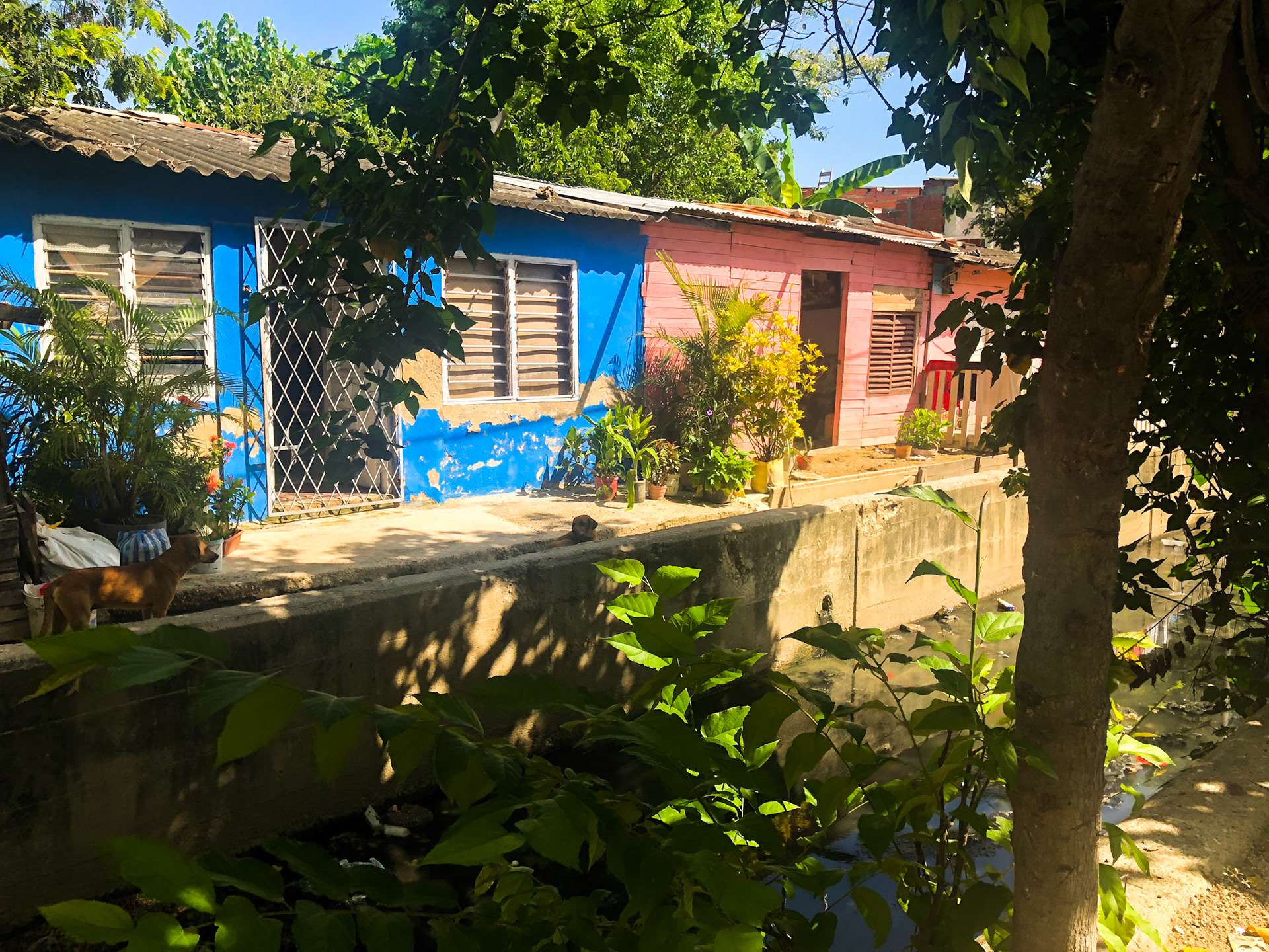 Casa típica. Cartagena, Colombia. (2018). Fotografía propia.
