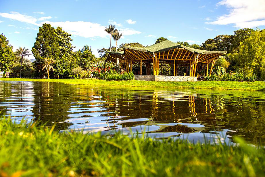 El Jardín Botánico de Bogotá “José Celestino Mutis.” (n.d.). Colombia Travel . photograph, Colombia. Retrieved from https://elturismoencolombia.com/a-donde-ir/turismo-en-bogota/jardin-botanico-bogota/.