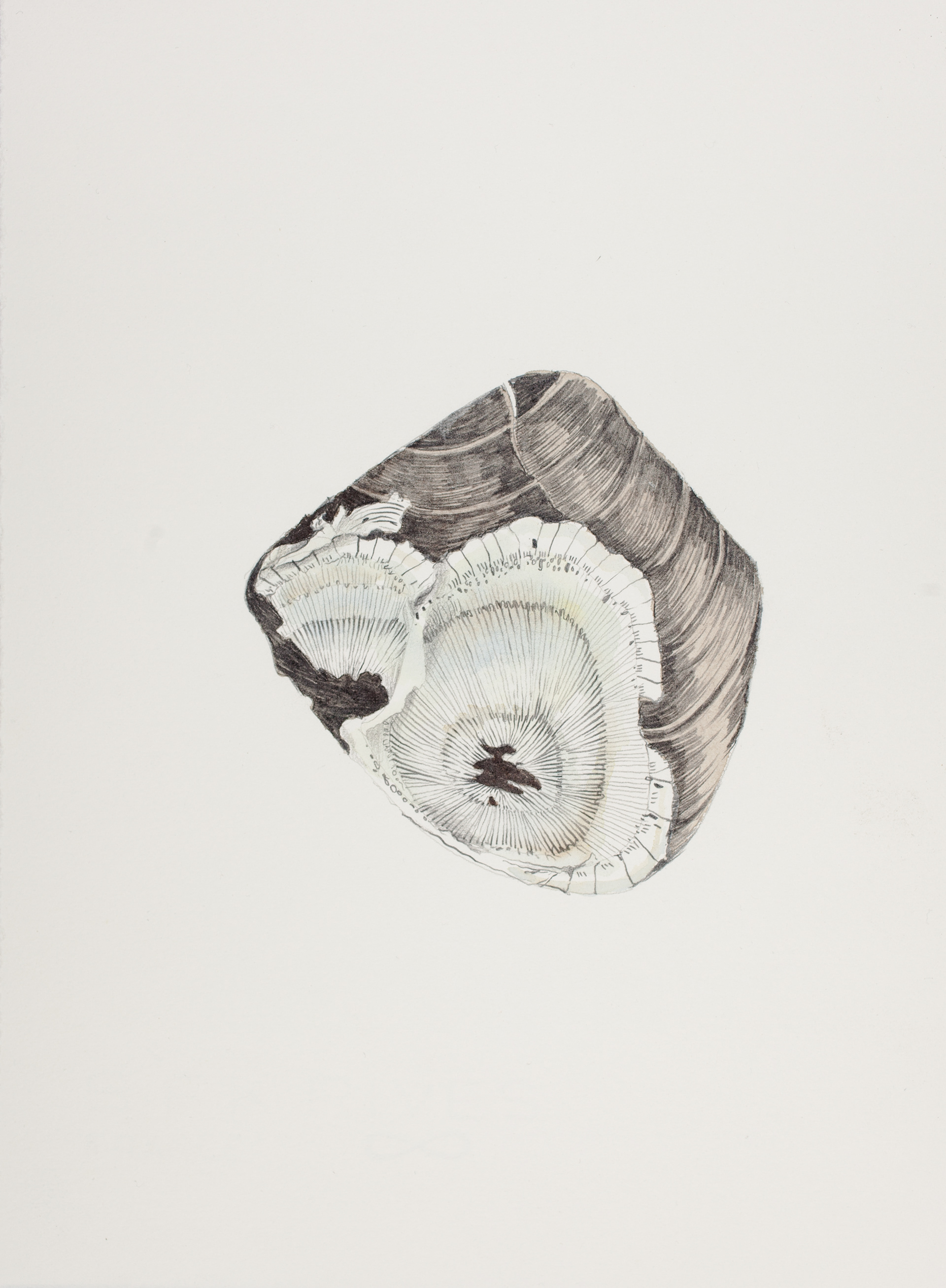 Remember When We Used to Live Together?